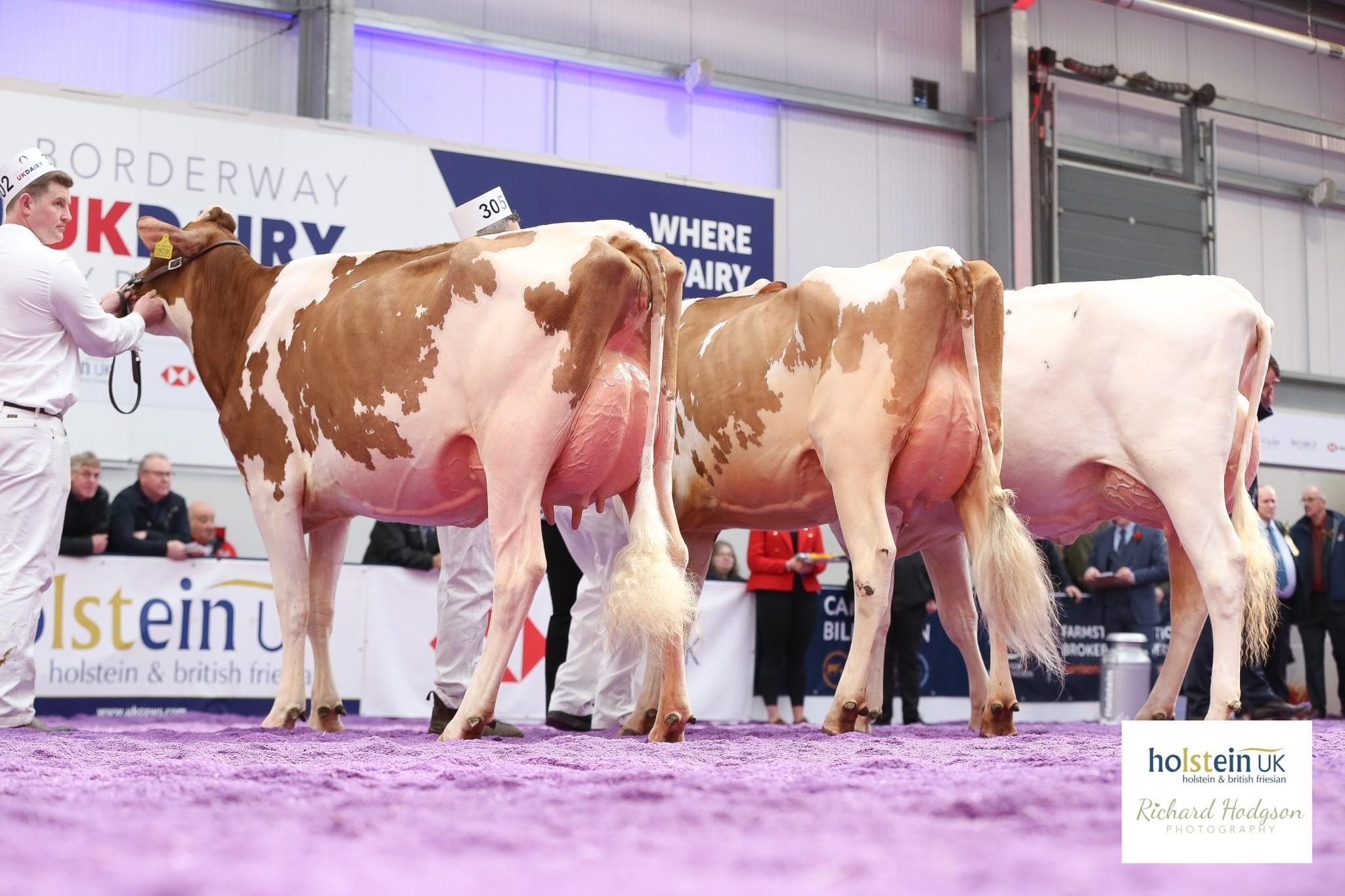 Class 40 - 2 Year Old in Milk - Born February 28, 2021 to March 1, 2021 winning line-up Source: Holstein UK