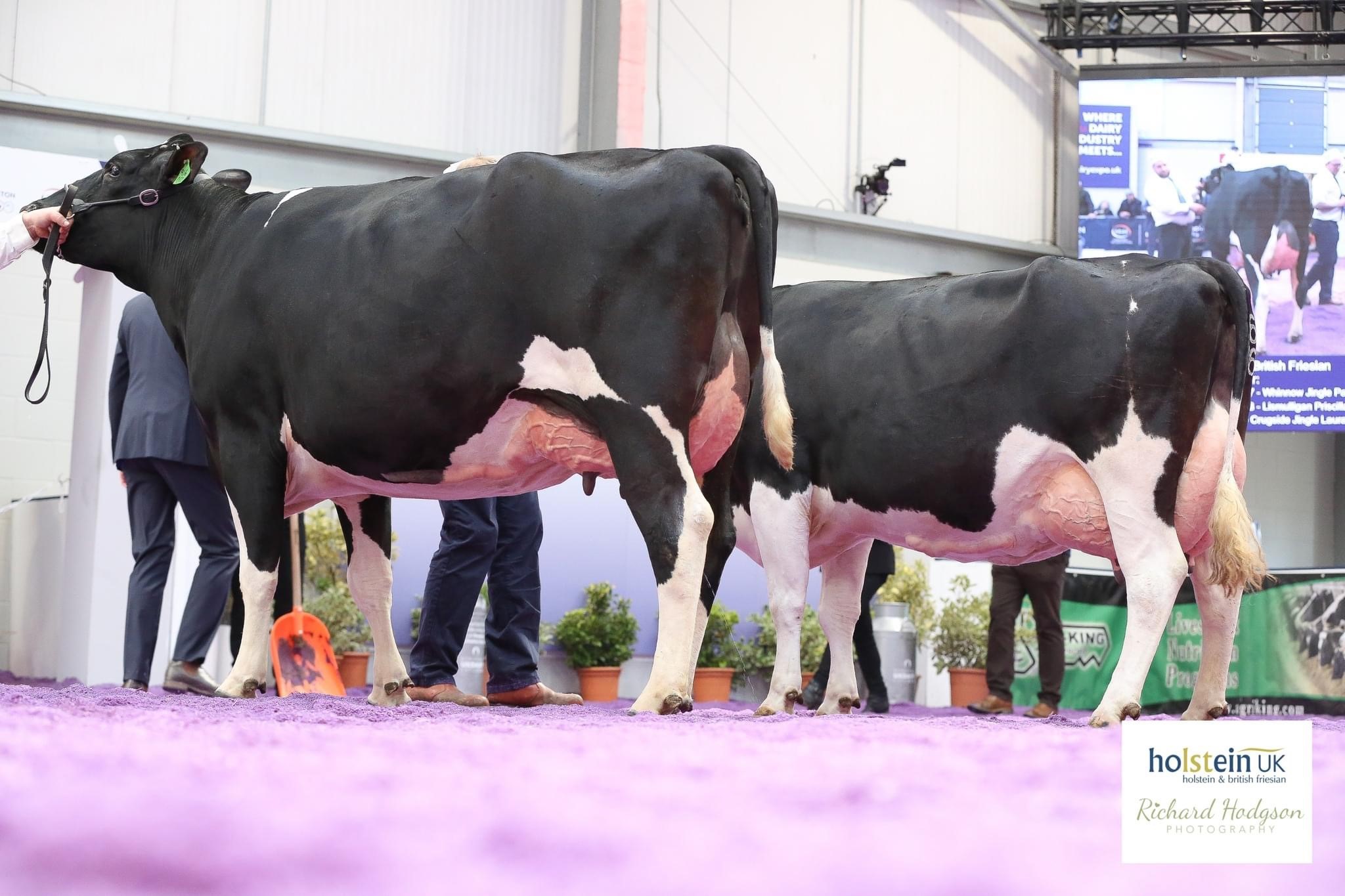 Class 46 - 3 and 4 Year Old in Milk - February 28, 2019 to March 1, 2021 Source: Holstein UK
