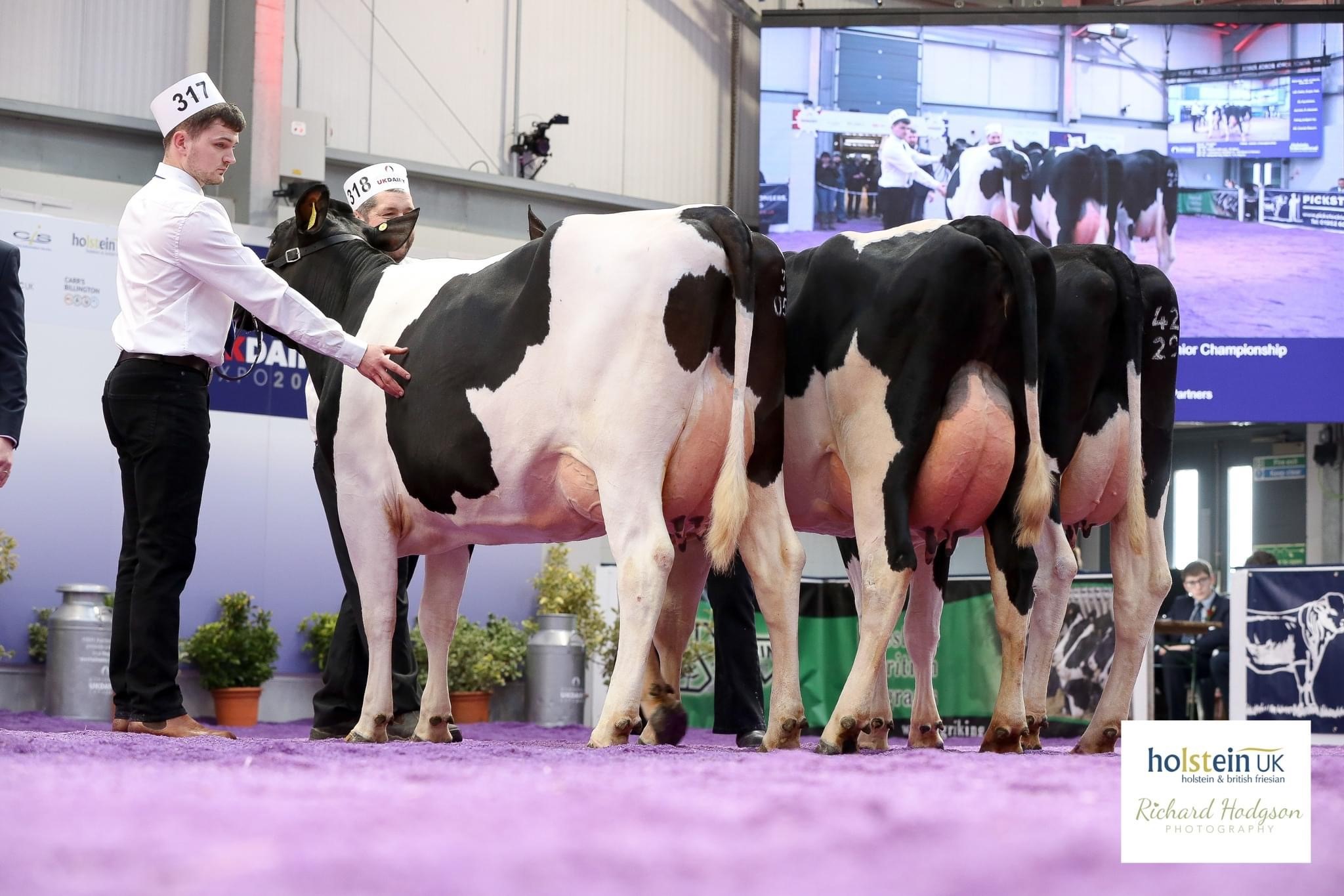 Class 45 - 2 Year Old in Milk - February 28, 2021 to March 1, 2022Source: Holstein UK