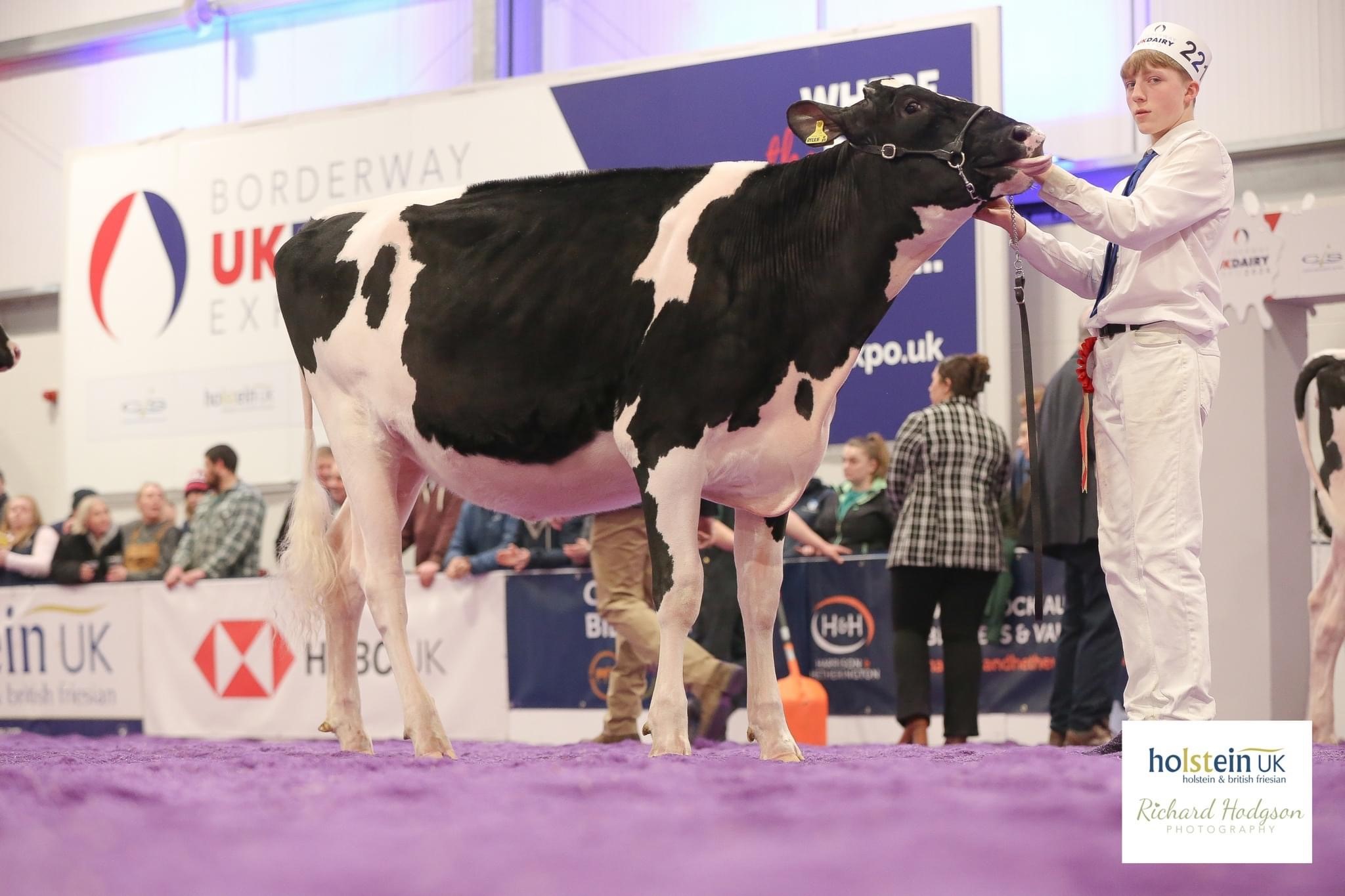 Champion: Riverdane Artist Atlee,