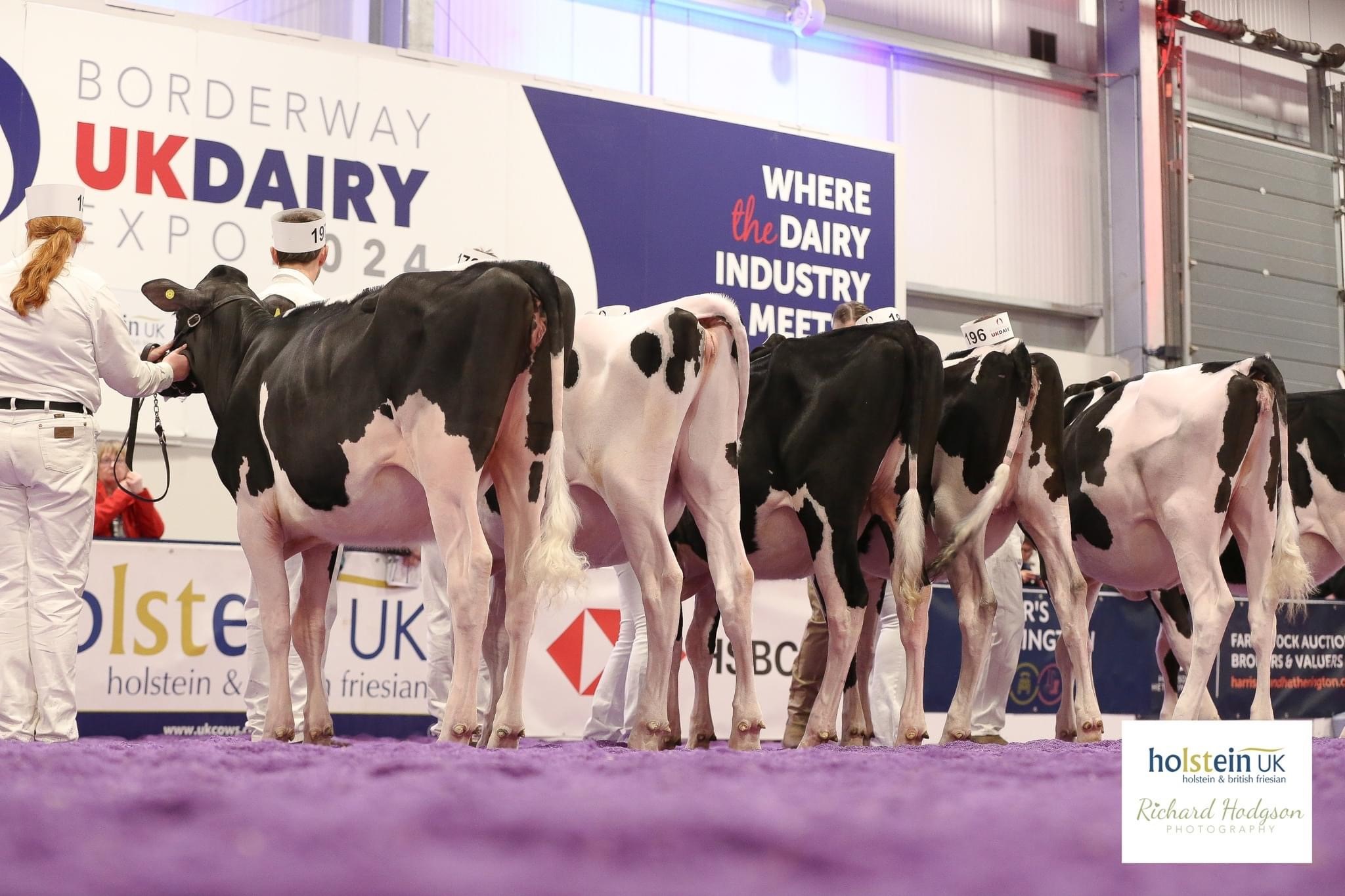 Class 24 - Spring calf - March 1, 2023 to May 31, 2023 winning line-up