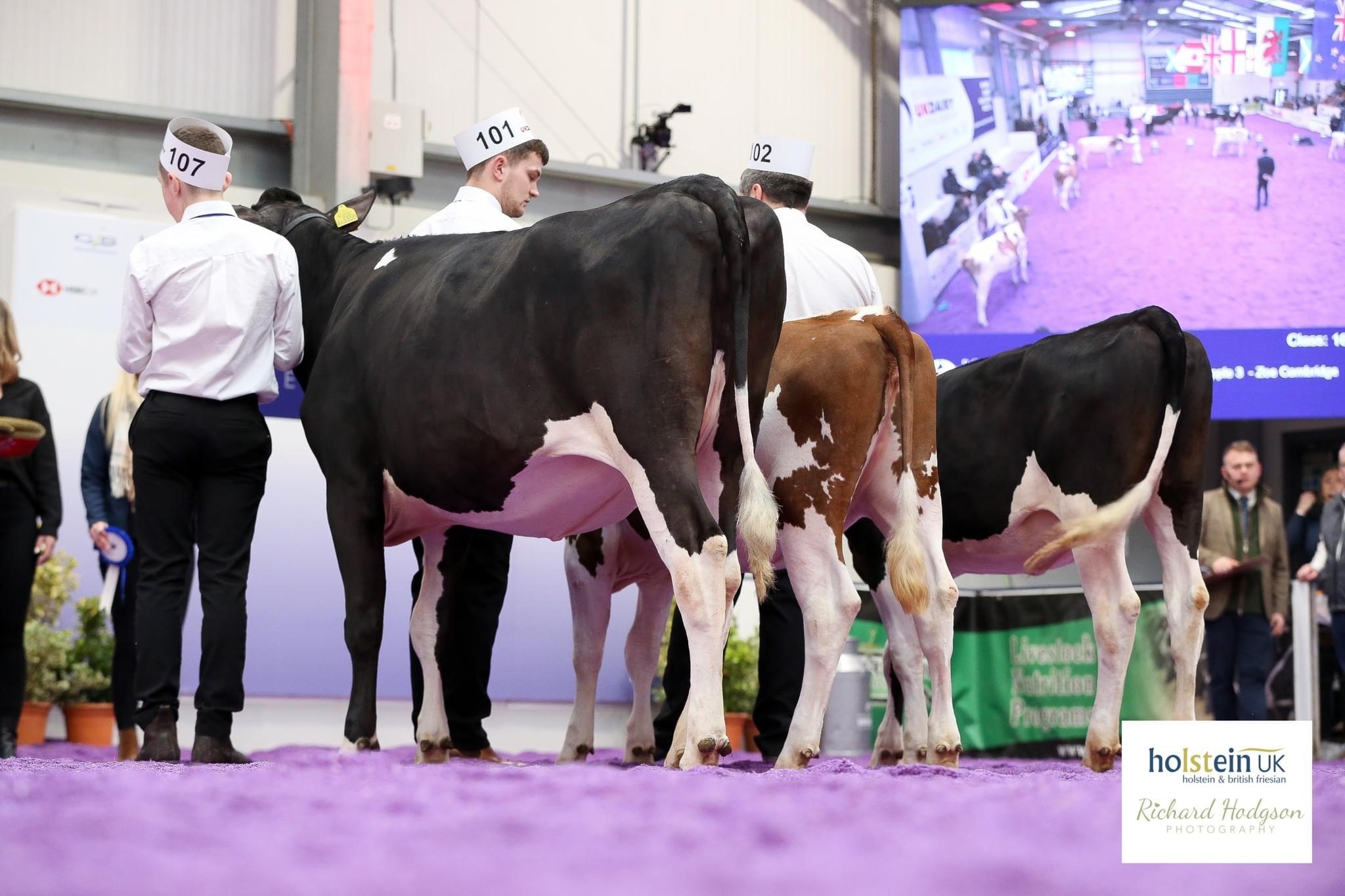 Junior Championship winning line-upSource: Holstein UK