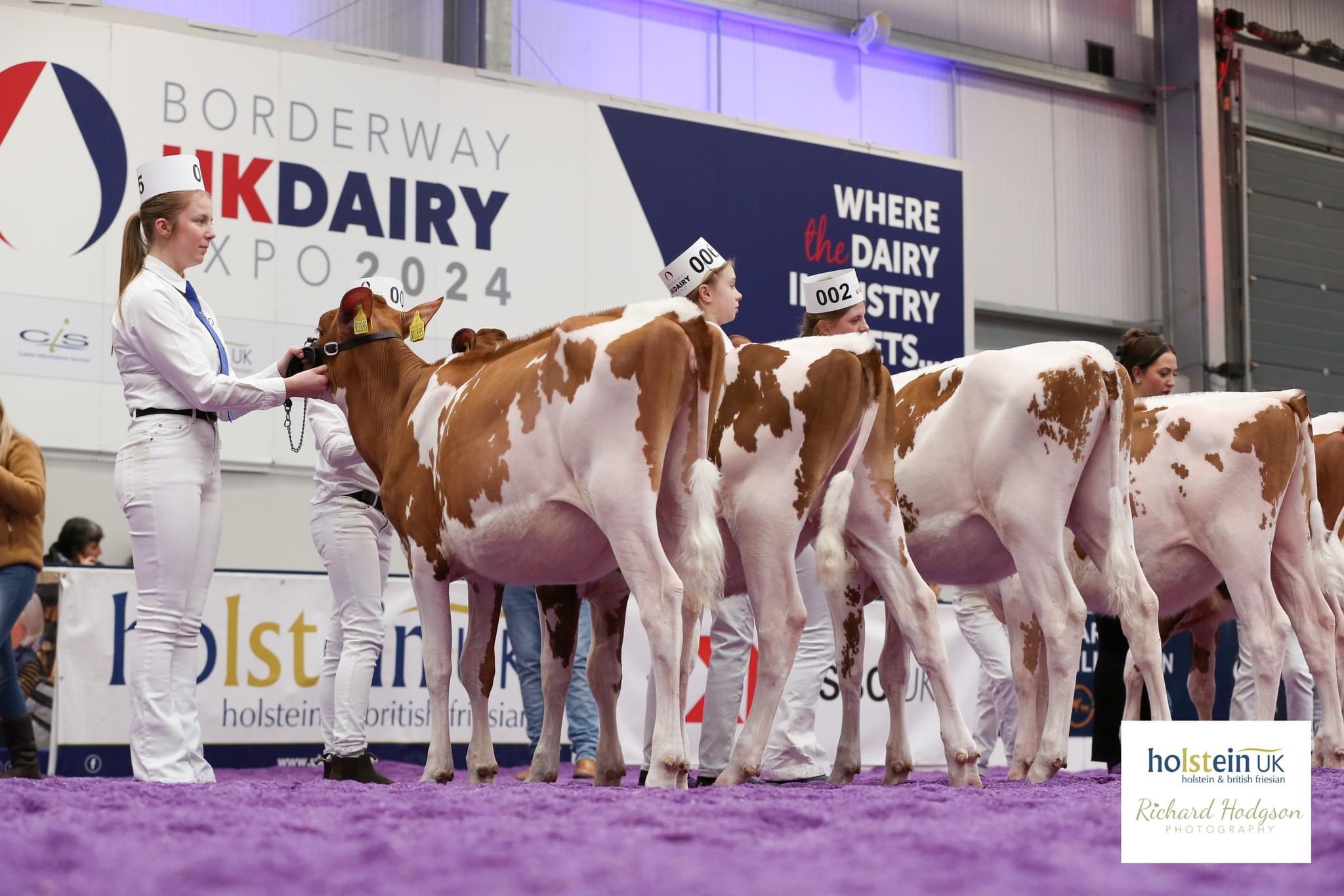 Class 1 - Junior Calf - September 1, 2023 to December 31, 2023 winning line-up Source: Holstein UK