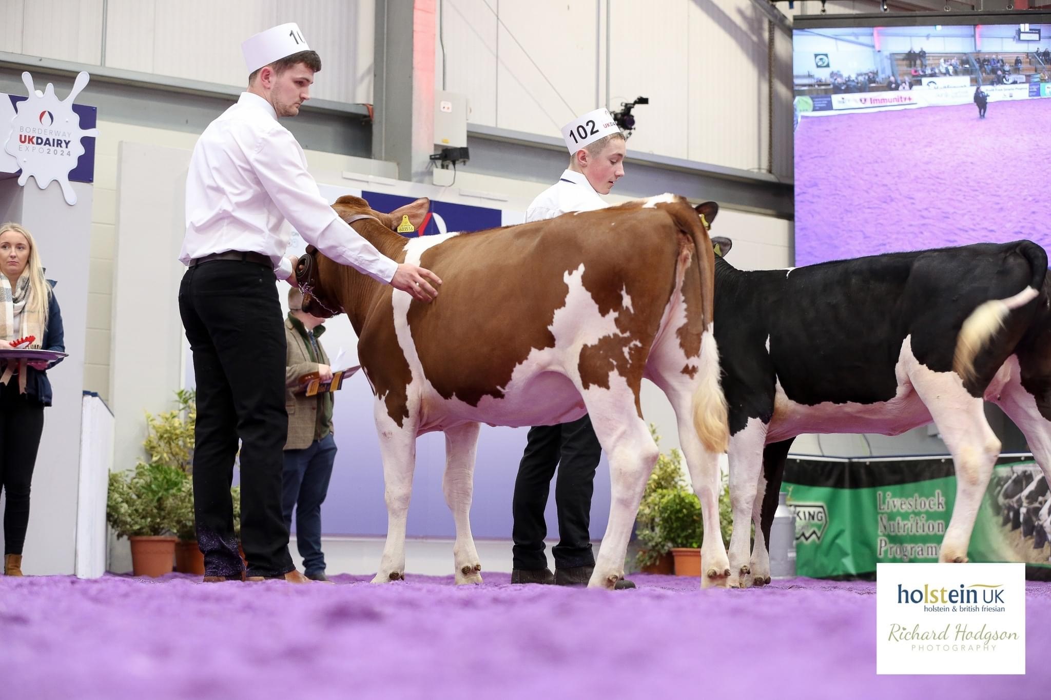 Class 18 - Calf class - March 1, 2023 to December 31, 2023Champion: Whinnow Jake PaulineSource: Holstein UK
