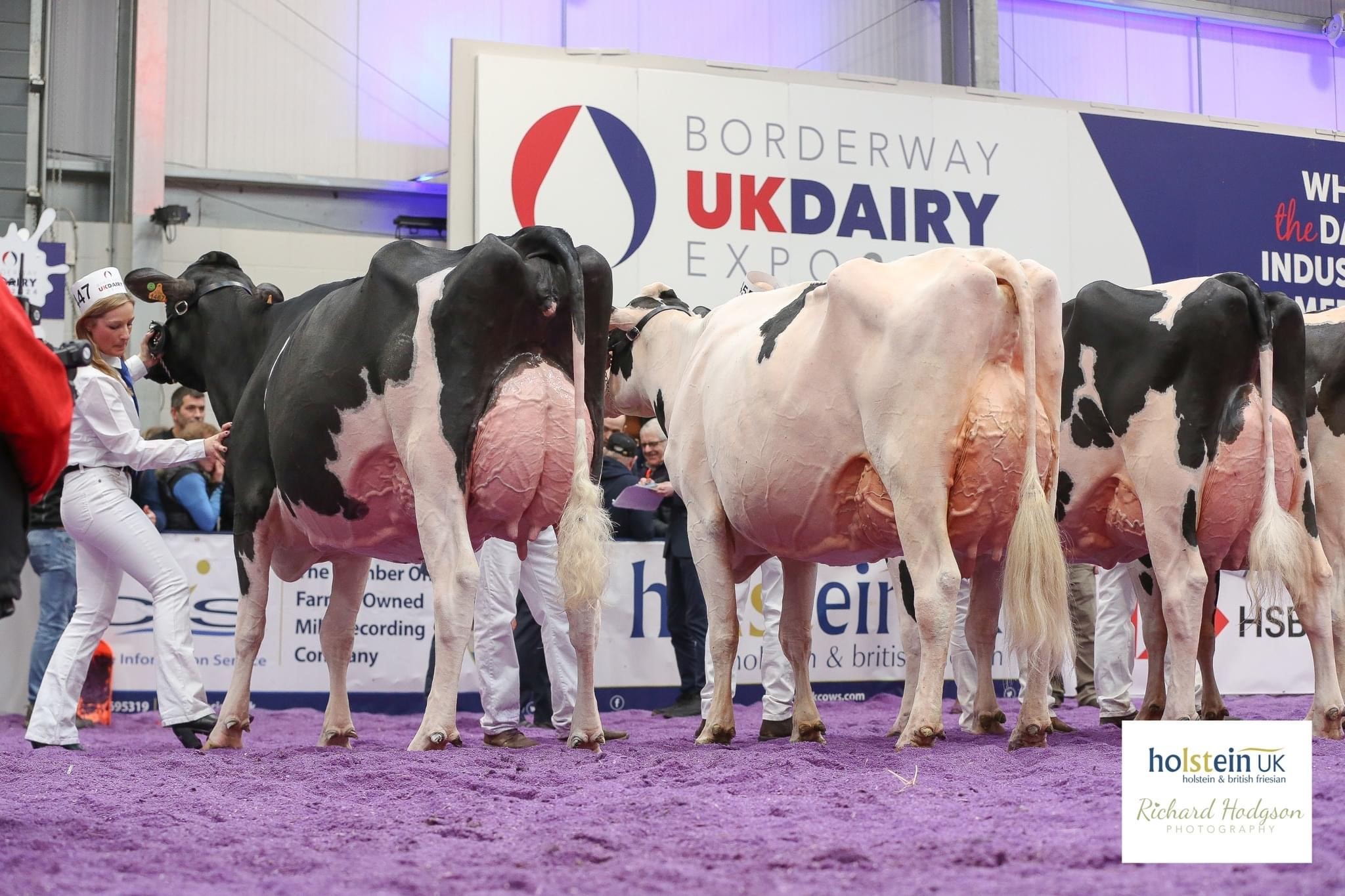 Class 69 - 4 Year Old in Milk - March 1, 2019 to February 29, 2020 Winning line-up Source: Holstein UK