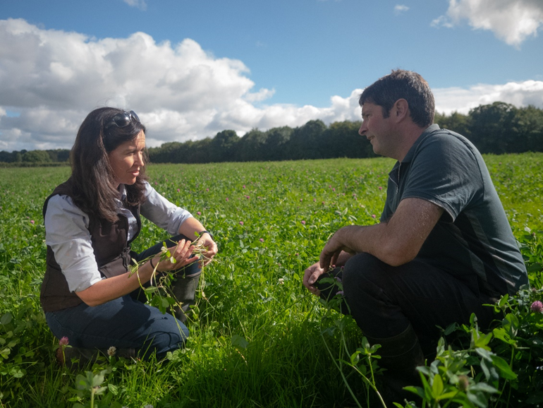 Germinal's Dr. Mary McEvoy discussing pasture composition and condition with Jimmy Madigan
