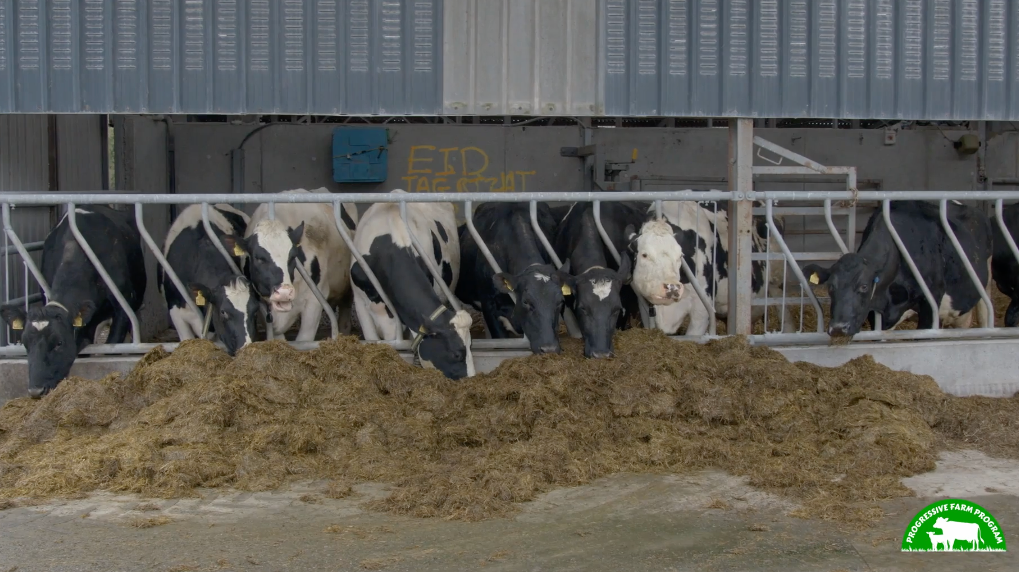 Progressive Farm Program