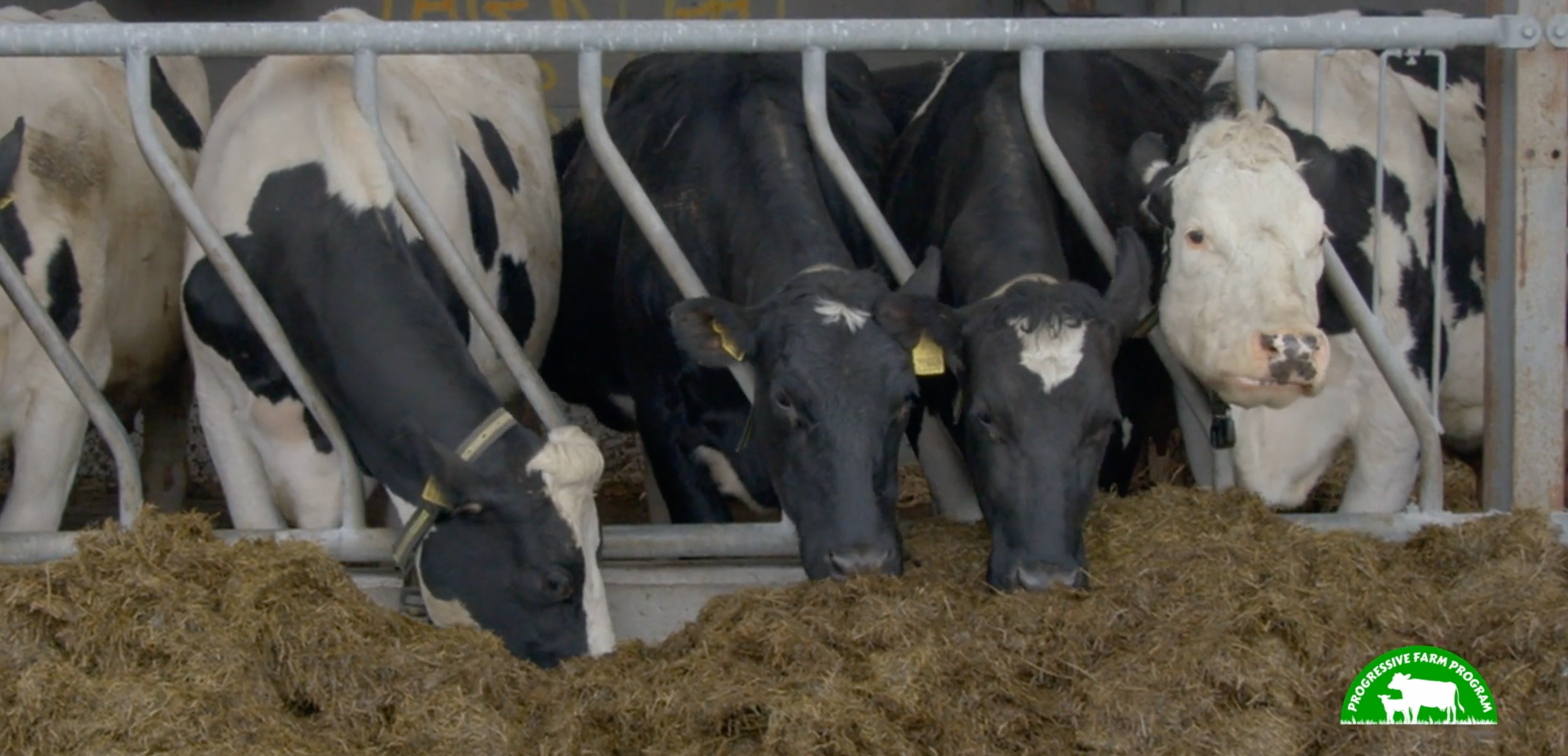 Progressive Farm Program