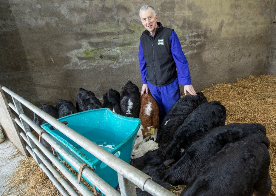 Cormac aims to purchase 160-170 calves from dairy farms each spring for his dairy beef enterprise