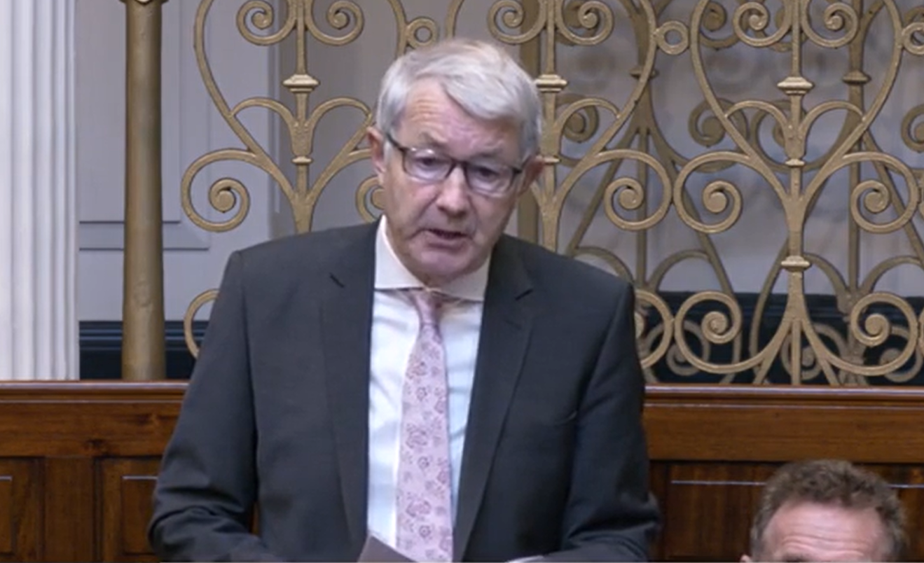 Independent TD Michael Lowry