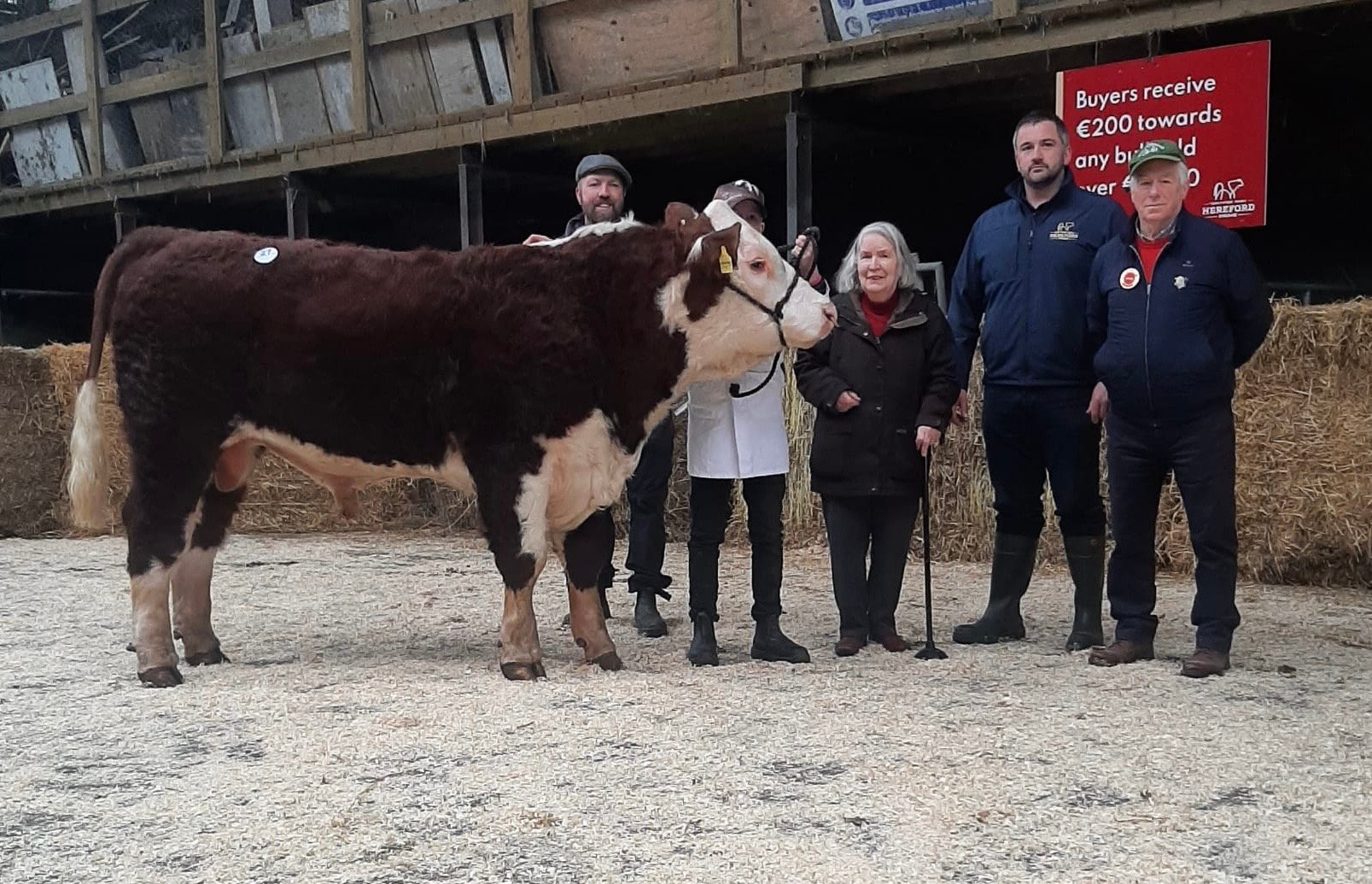 Appel 1 Justice with breeders John, Eric and Elizabeth Appelbe, Tennyson Egar from Irish Hereford Prime and judge and IHBS president John Boddy
