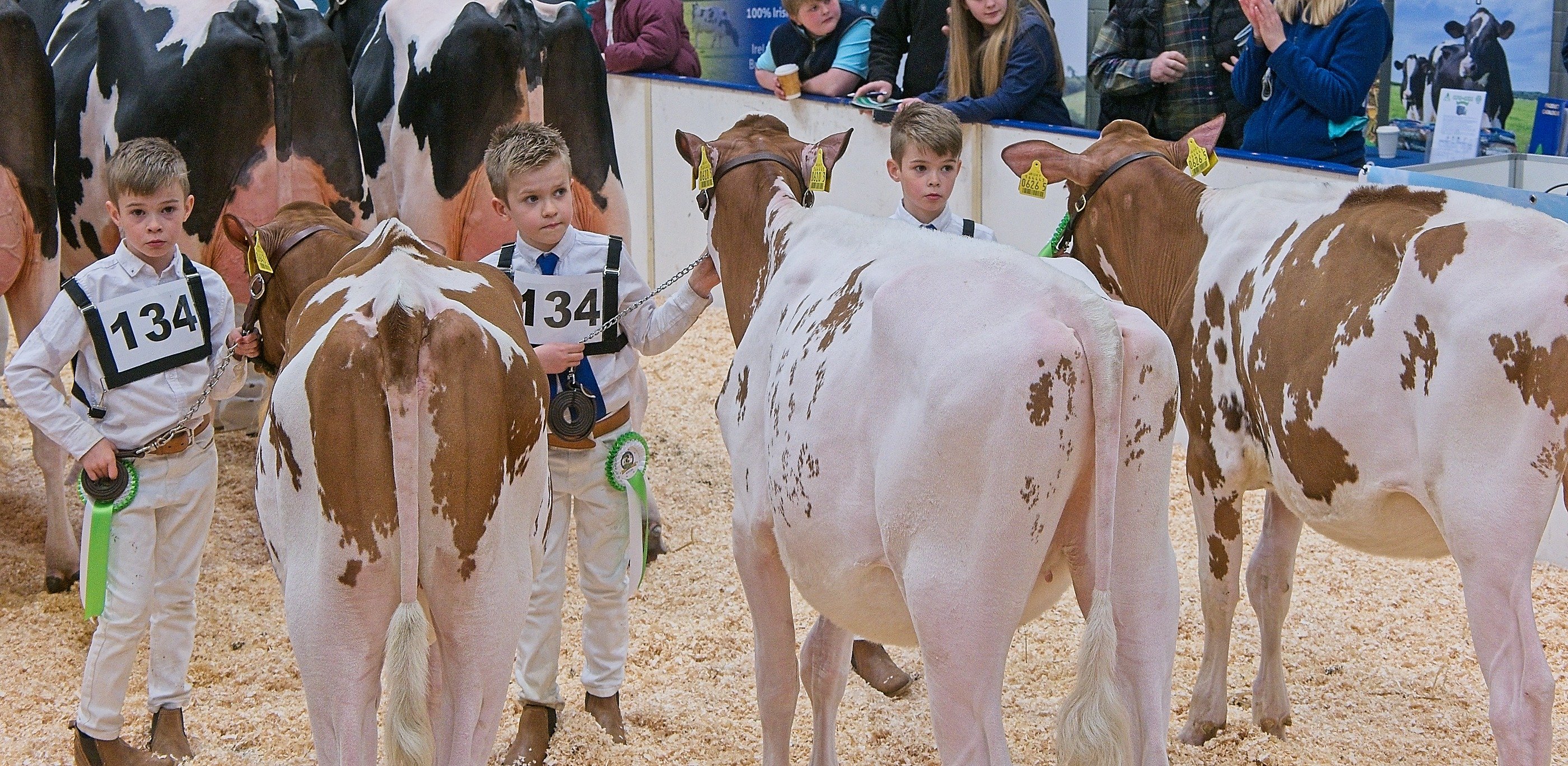 The Paul Brothers, Maghera in the group of three class. L-R: Cody (aged 9), Jamie (aged 8) and Dylan (aged 8).