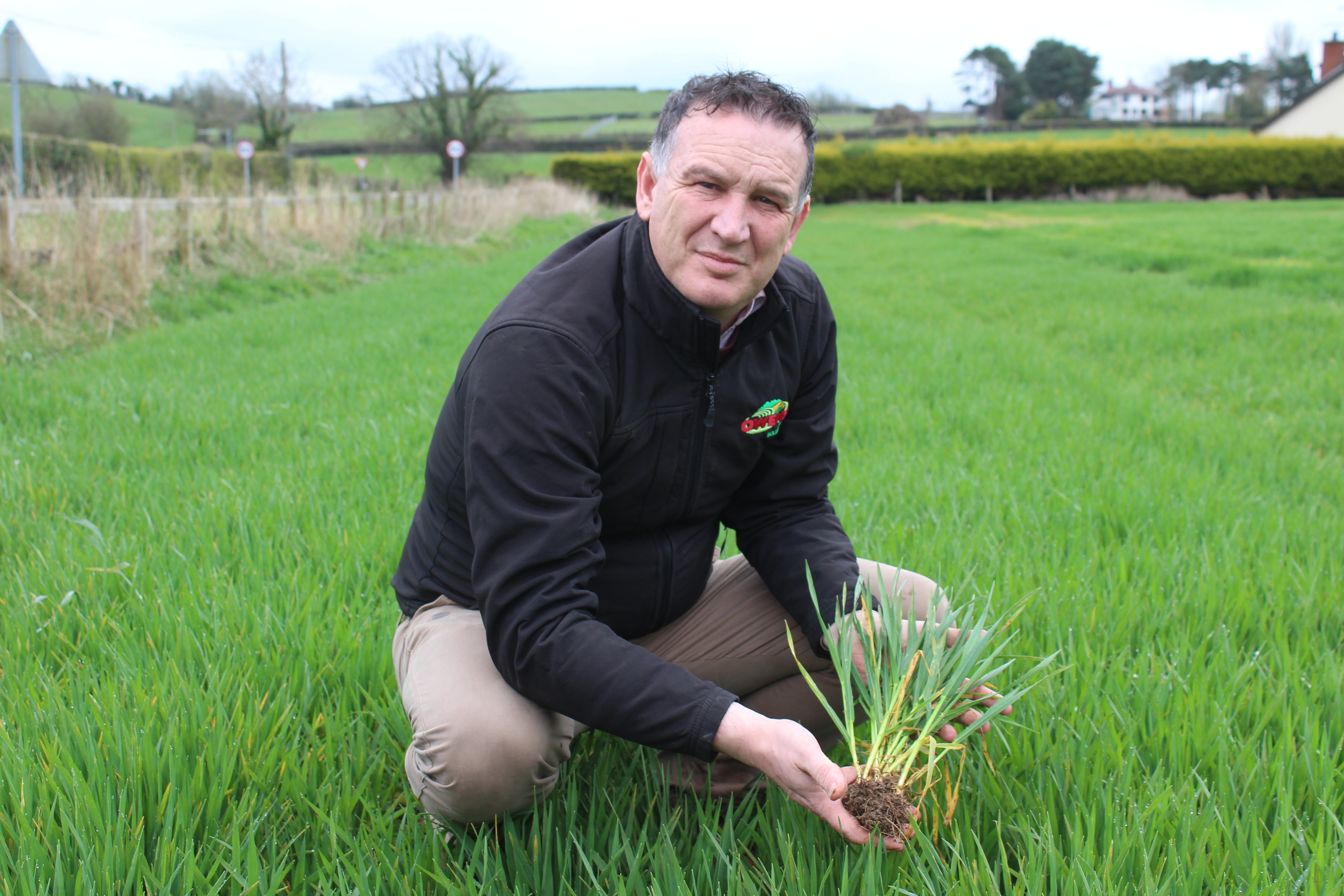 Richard Owens is confirming high levels of Net Blotch in winter barley crops at the present time