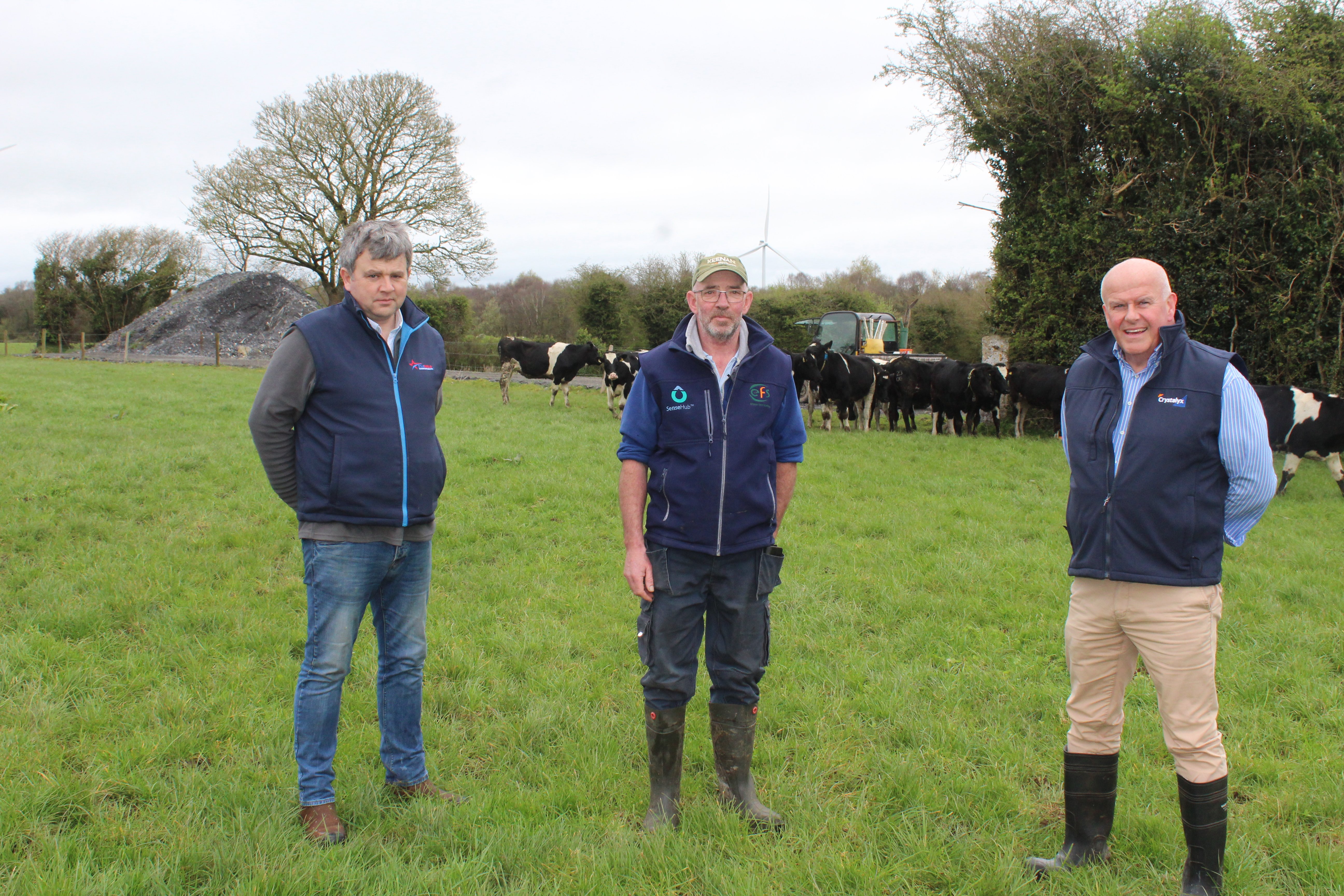 Discussing the grazing prospects for the days ahead (l-r:) David Guiry, Star Fuels; William O'Grady; and David Morgan, Crystalyx