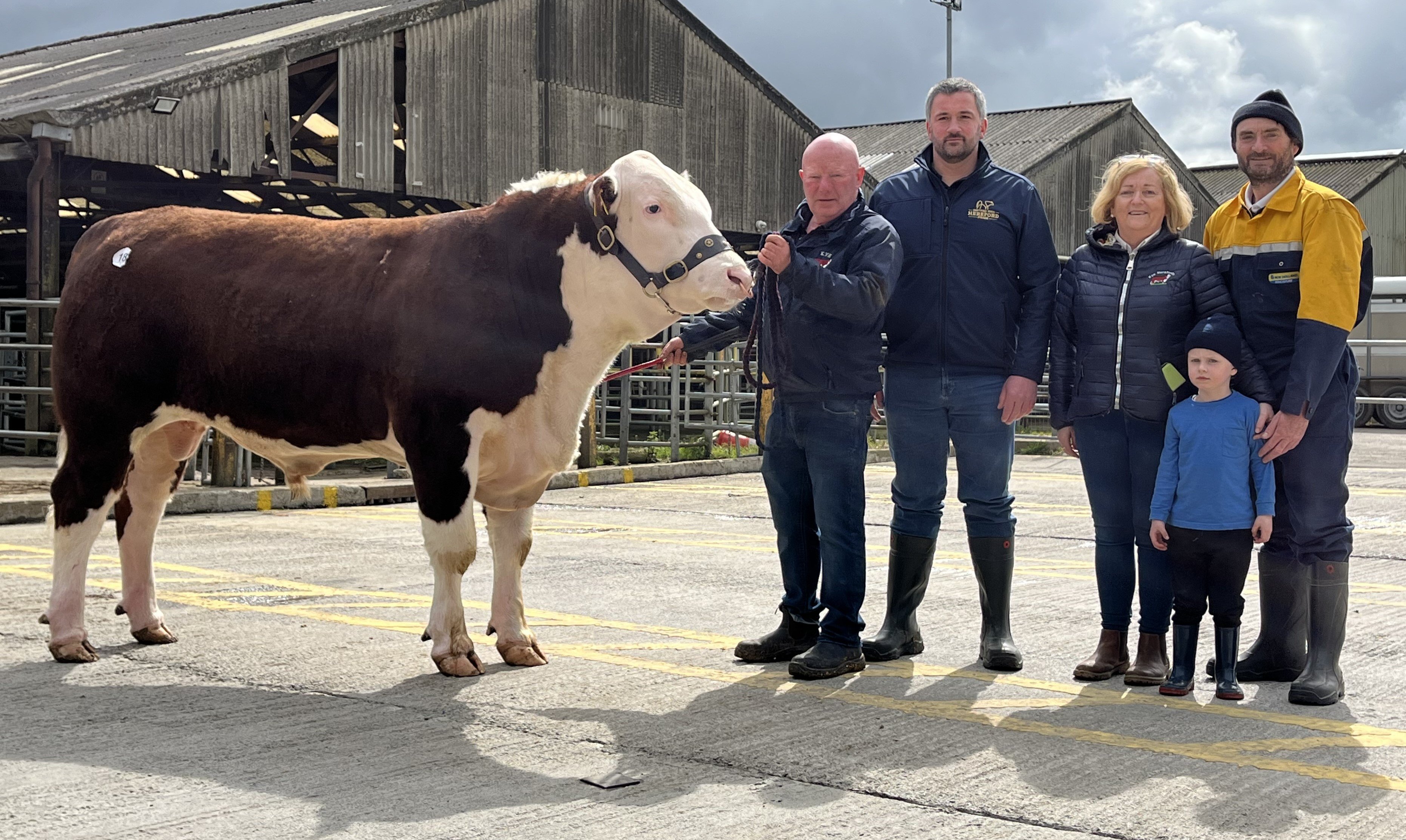 Kyepoll 1 1 Panda 989 with breeder Padraig McGrath, sponsor Tennyson Egar from Irish Hereford Prime, breeder Catherine McGrath and purchasers Richard and Jack Heffernan