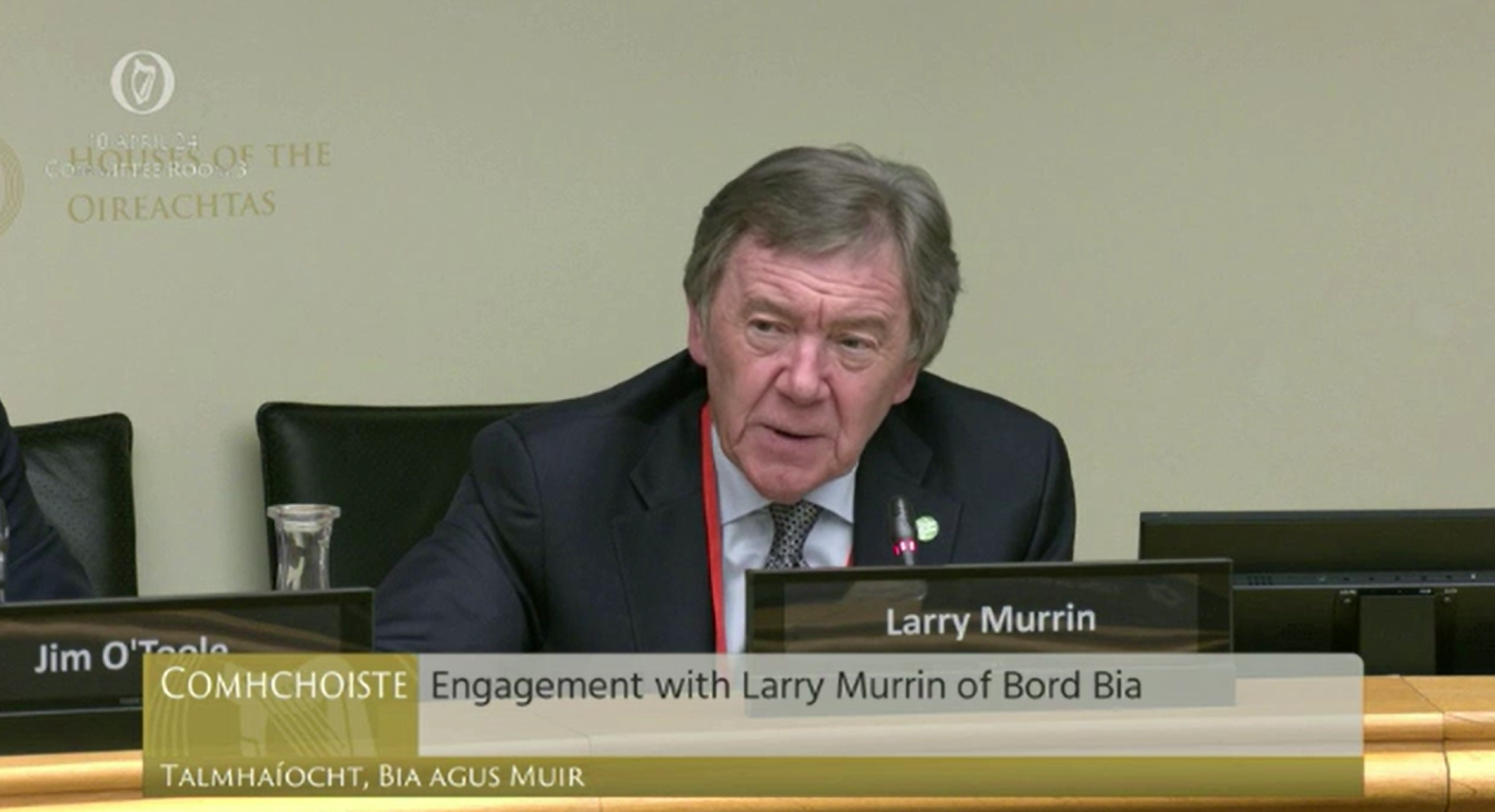 Larry Murrin, chair designate of Bord Bia. Image Source: Oireachtas TV