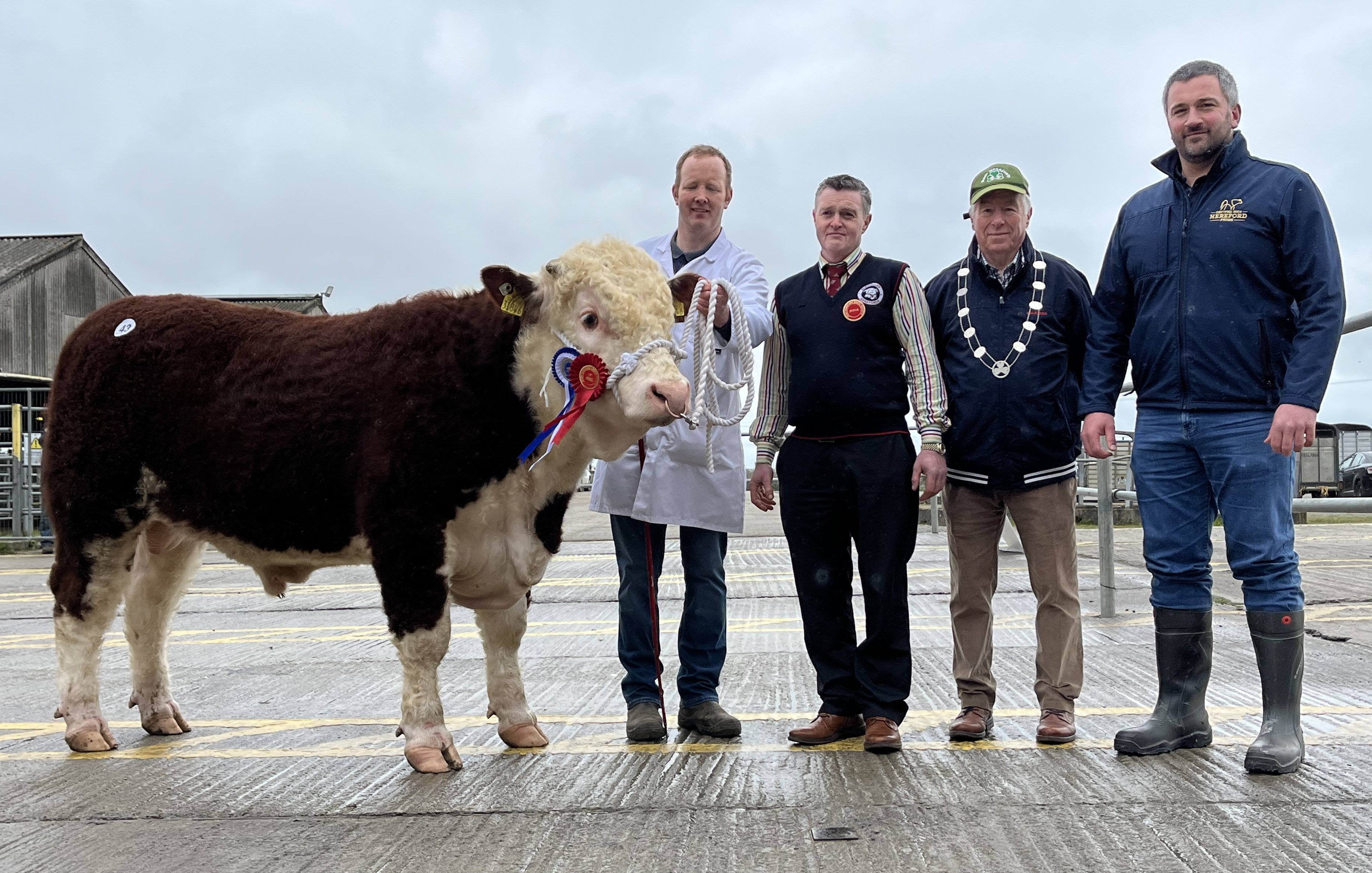 Reserve champion Clondrinapoll 1 1404TH with breeder Declan Donnelly, judge Patrick O'Donnell, IHBS president John Boddy and sponsor Tennyson Egar from Irish Hereford Prime