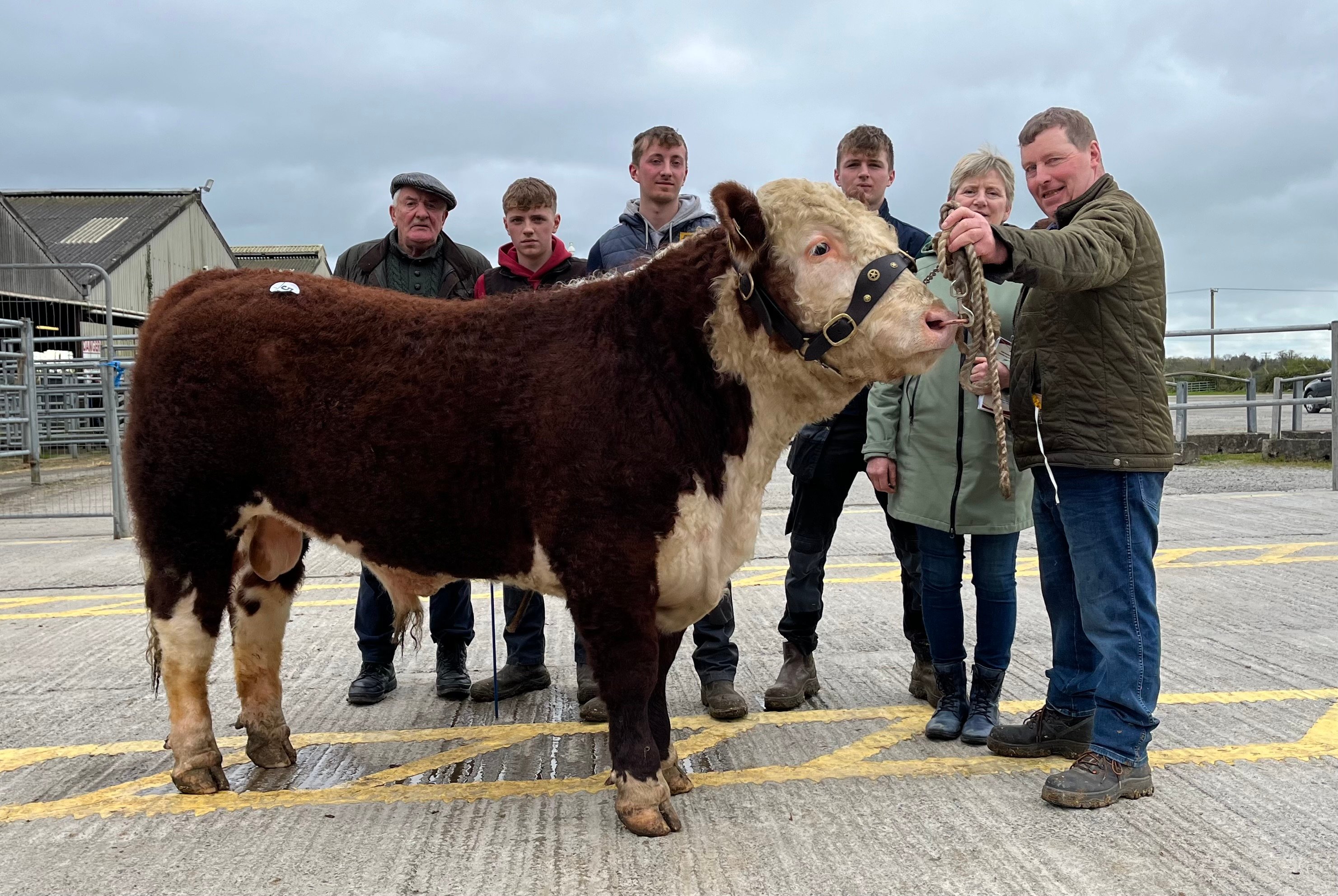 Sale topper Ballinveney Fireball with purchaser John Holloway, breeders Brian, Dan, Seamus, Noreen and Rory Farrell