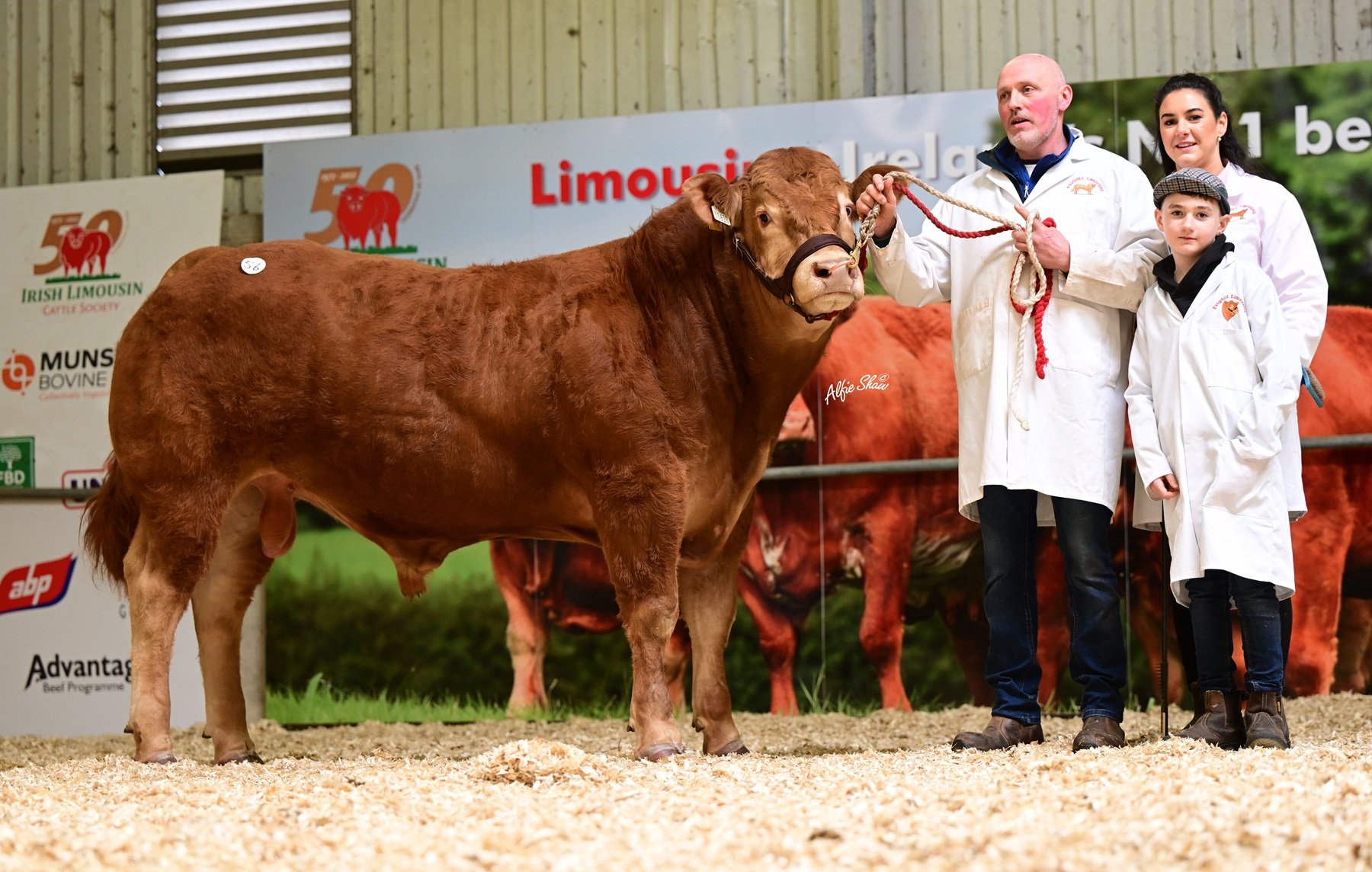 Faughill Trigger sold for €6,800