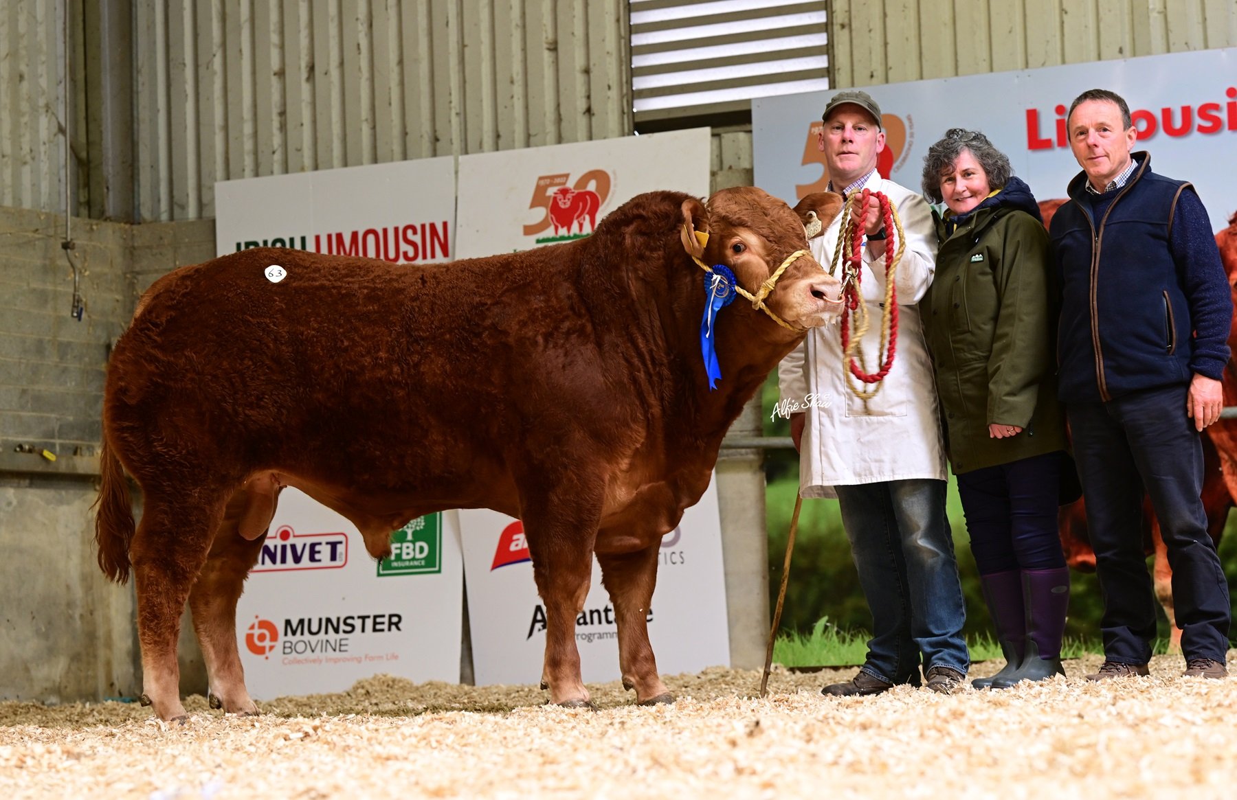 Cavelands Ultan sold for €6,000