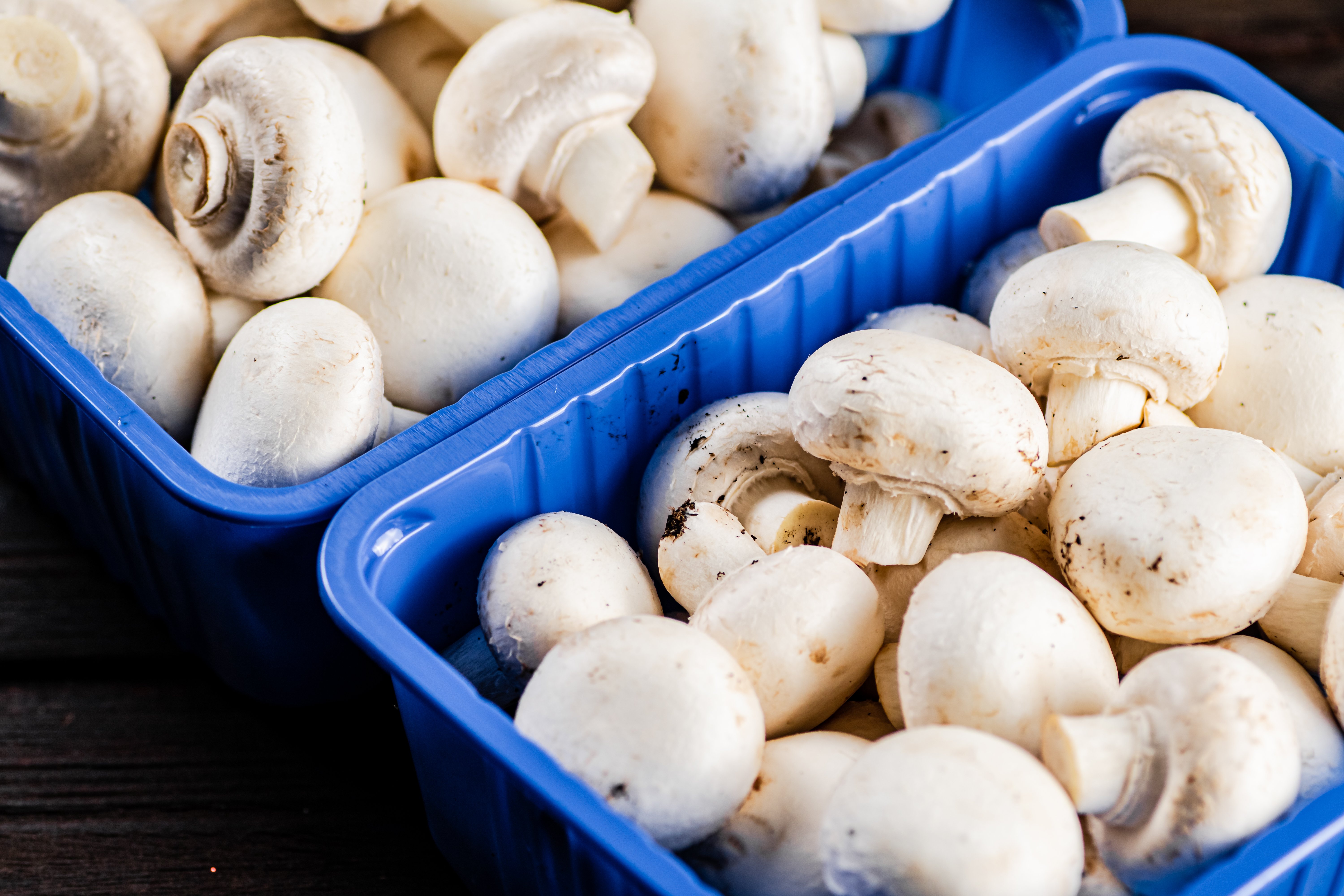Mushrooms in a plastic box on the table. On a wooden background. High quality photo