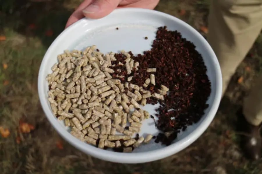 Muesli mix with SeaFeed Source: Ashgrove