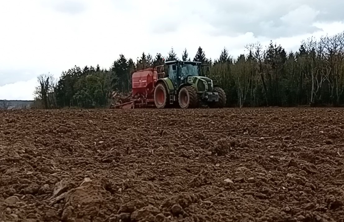 Sowing in this field was abandoned after the rain began to fall Source: David Walsh-Kemmis