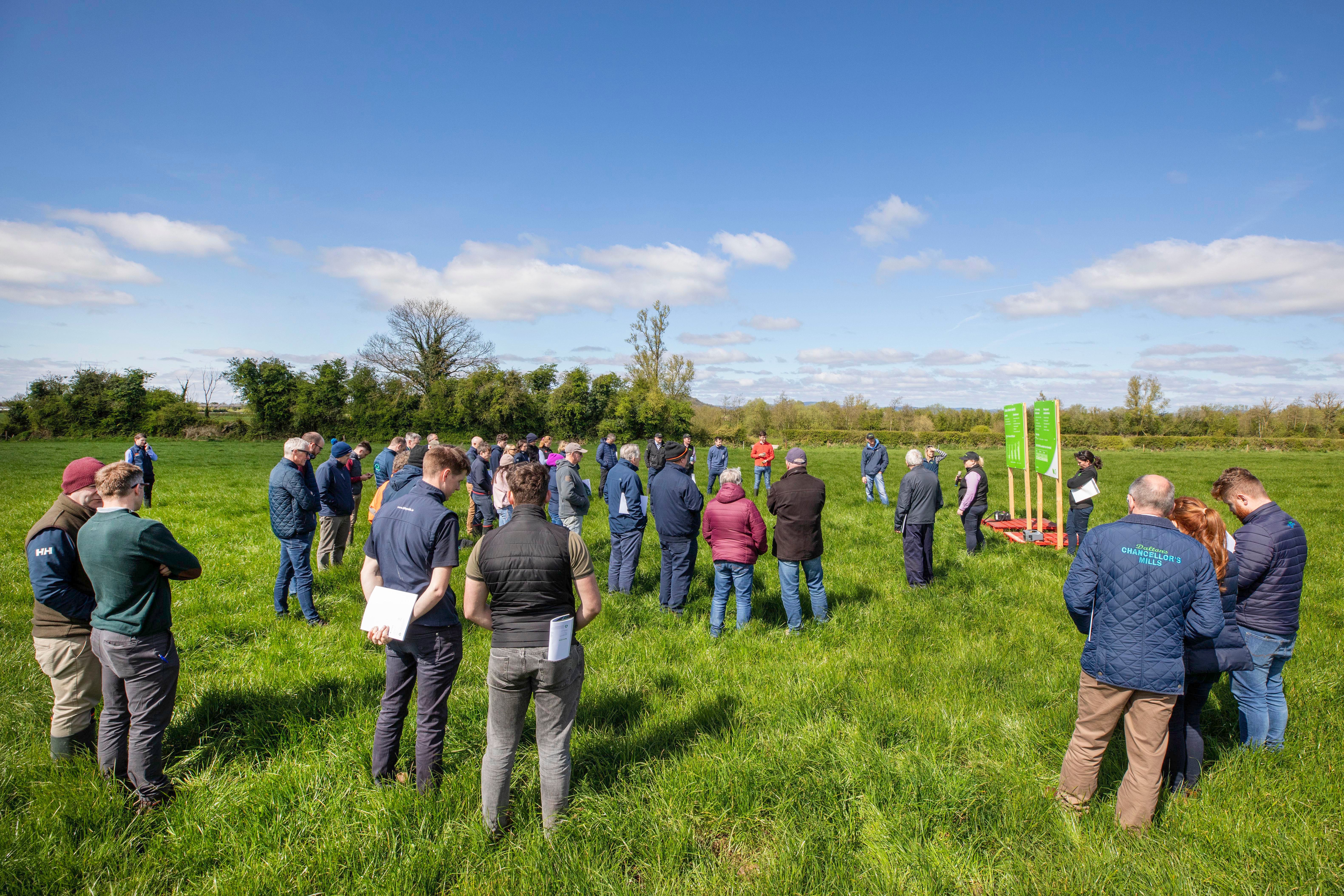Over 60 farmers and seed trade representatives attended a farm walk on Brian Hogan's farm at Horse and Jockey, Co. Tipperary organised by the Germinal Ireland team.. Image source: Finbarr O'Rourke