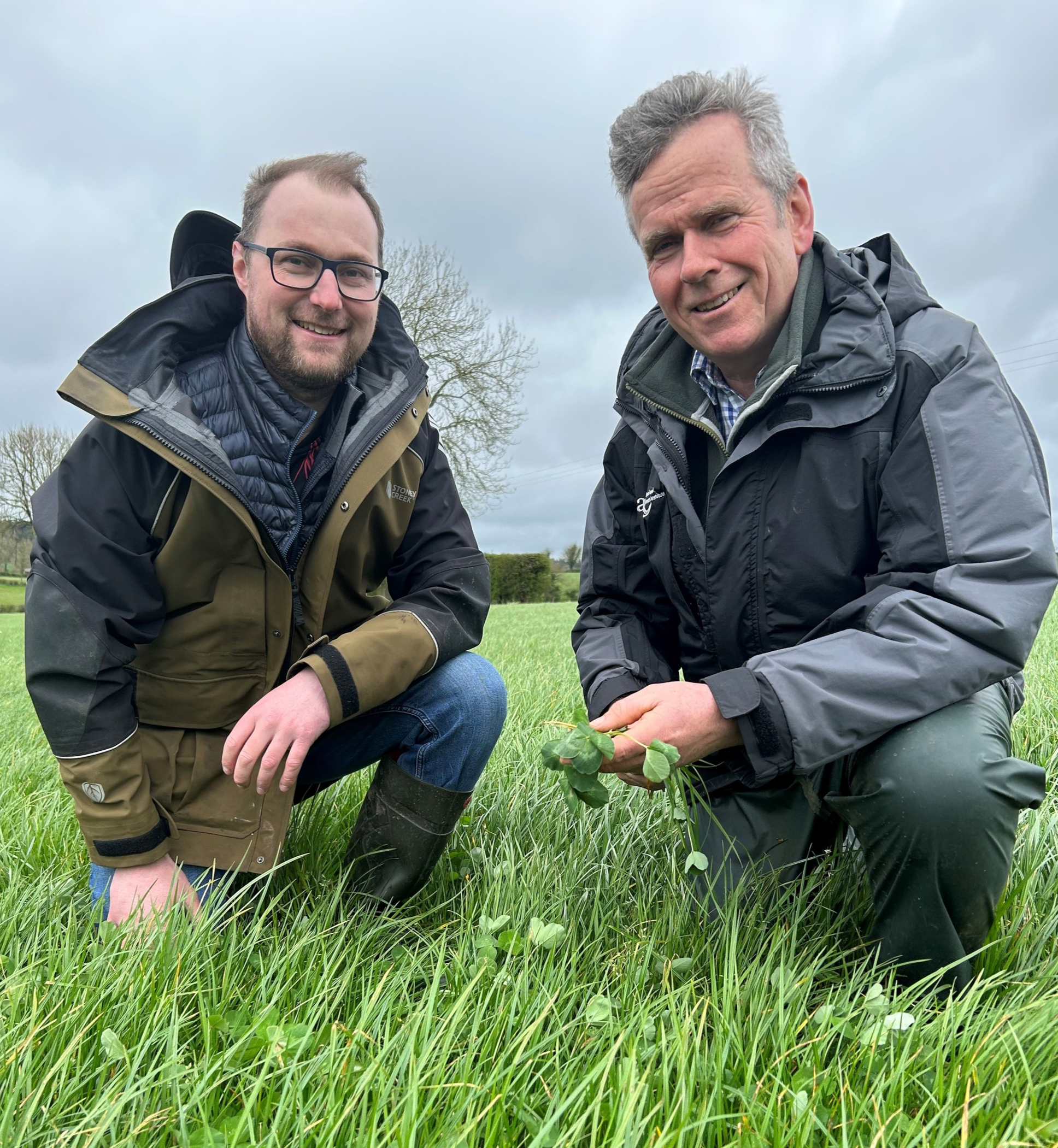 (L-r) Host farmer David Clarke and AFBI grassland scientist Dr. David Patterson examining a red clover sward Source: AgriSearch