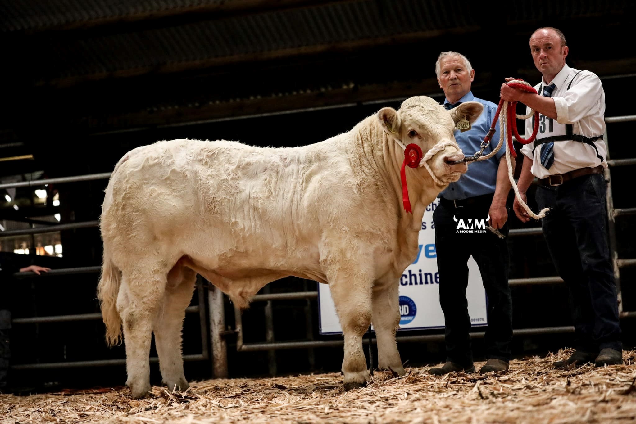 Fieldview Ulick ET was the winner of class 1