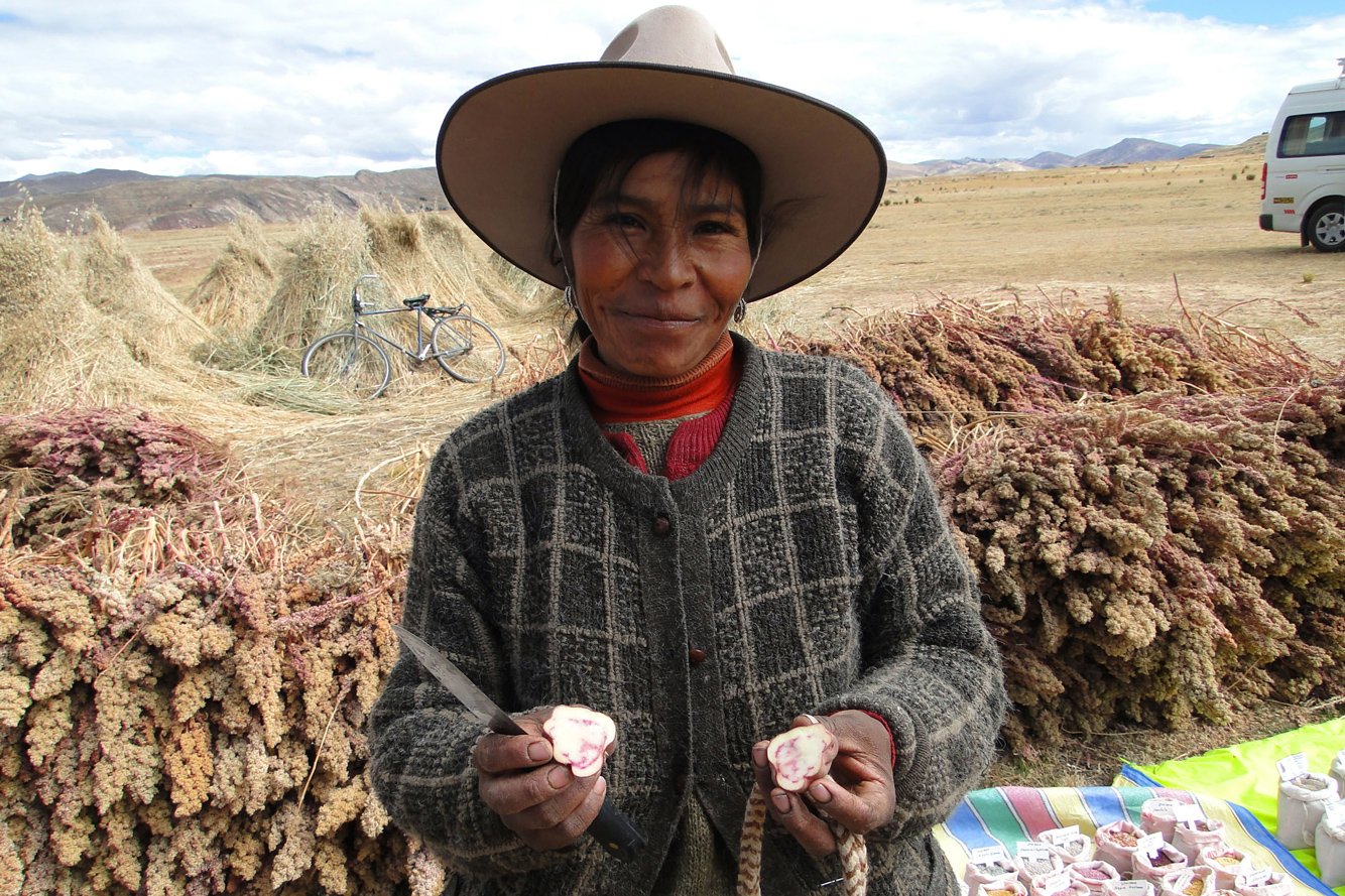 Indigenous peoples’ communities in the Andes preserve thousands of potato varieties Source: FAO)