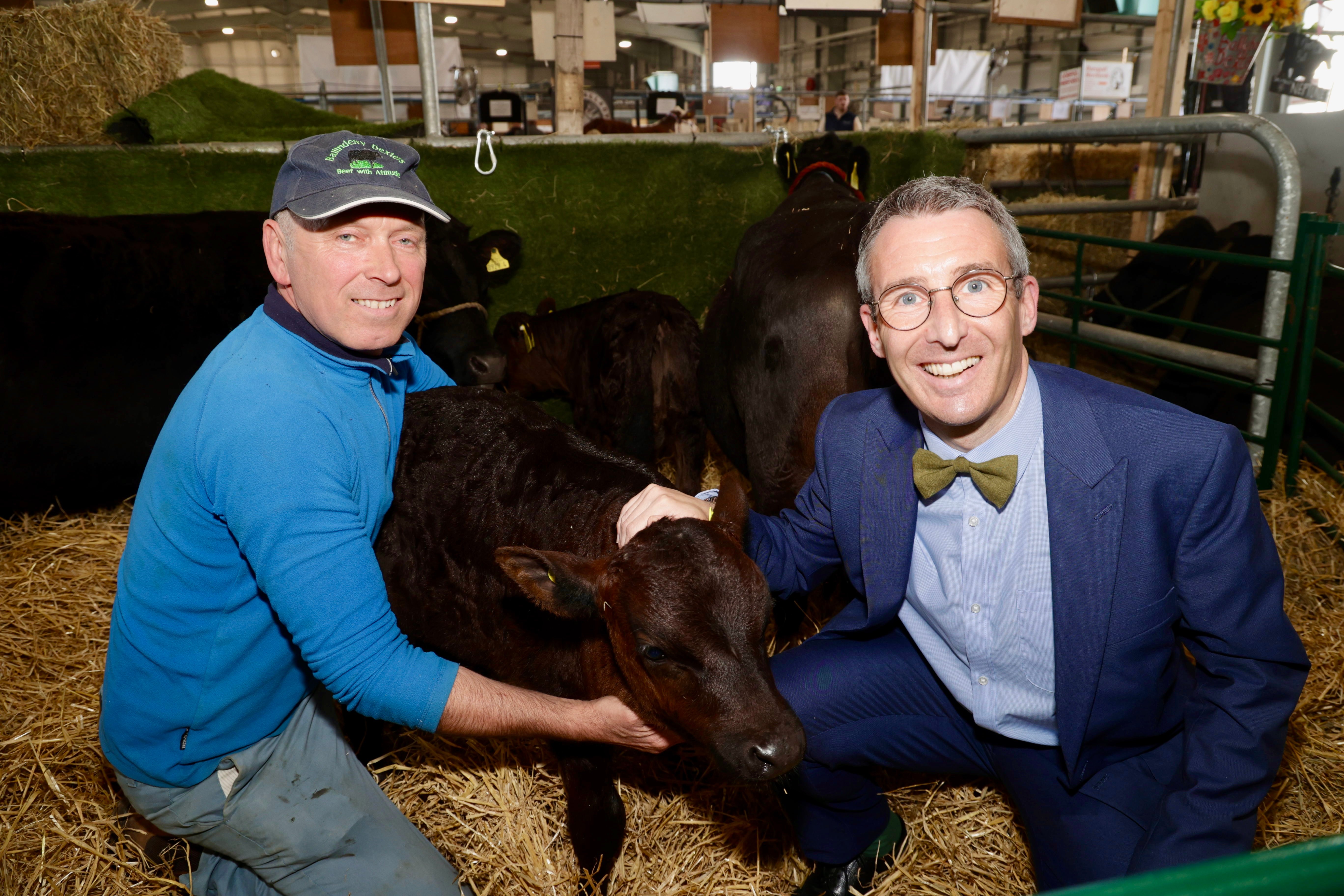 Pedigree breeder Pat McAreavey shows off his award-winning Ballinderry Dexters to  DAERA Minister Andrew Muir during a preview tour of the Balmoral Show
