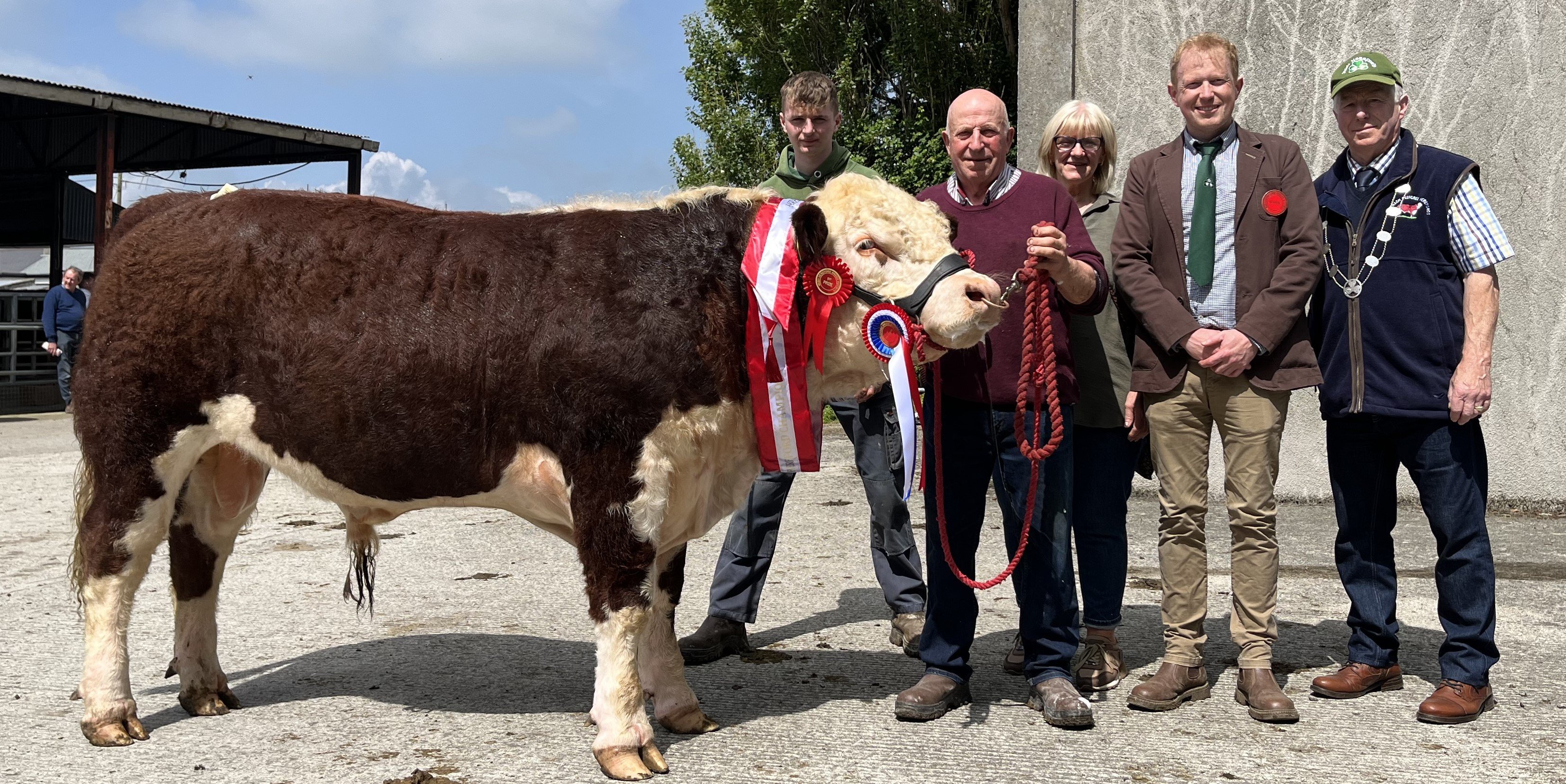 Champion Ballinalick Profile PP sold for €3,800. (L-r): Exhibitor, Seamus Farrell; breeders Willie and Kathy Duff; judge Edward Dudley and IHBS president, John Boddy