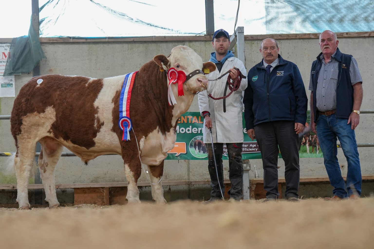 The Overall Champion went to Garrett Behan with Lot 11 Clonagh Pikachu Fab ET