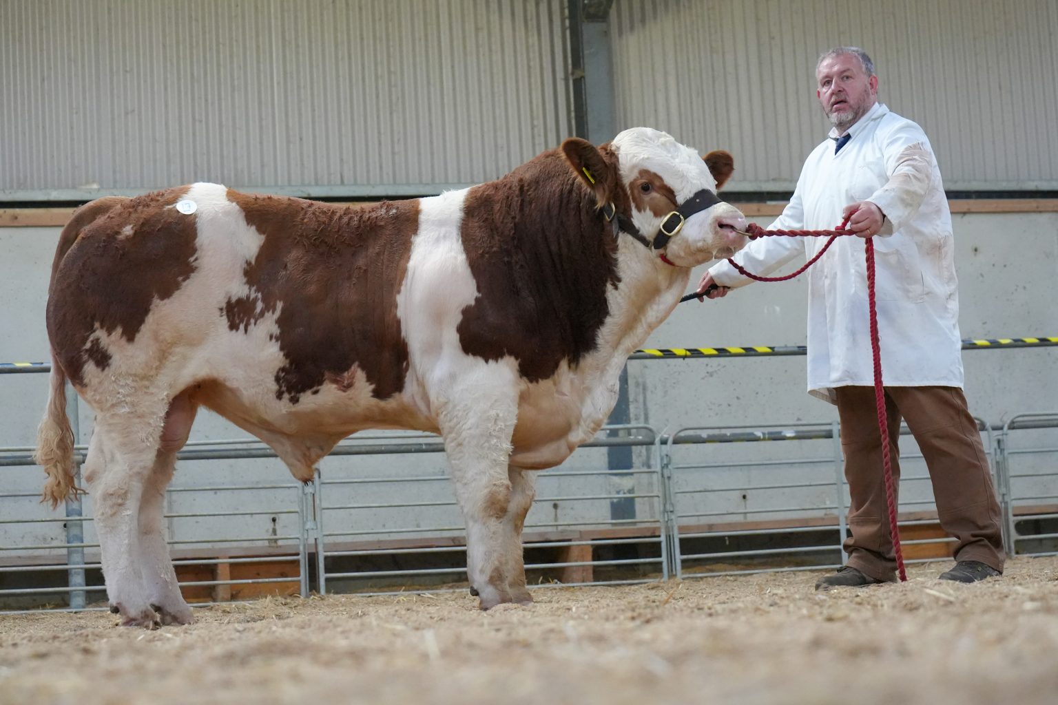 John Storey from Mountmellick, Co. Laois received €4,200 for his January 2023-born bull Lot 17 Doire-Goile Reggie