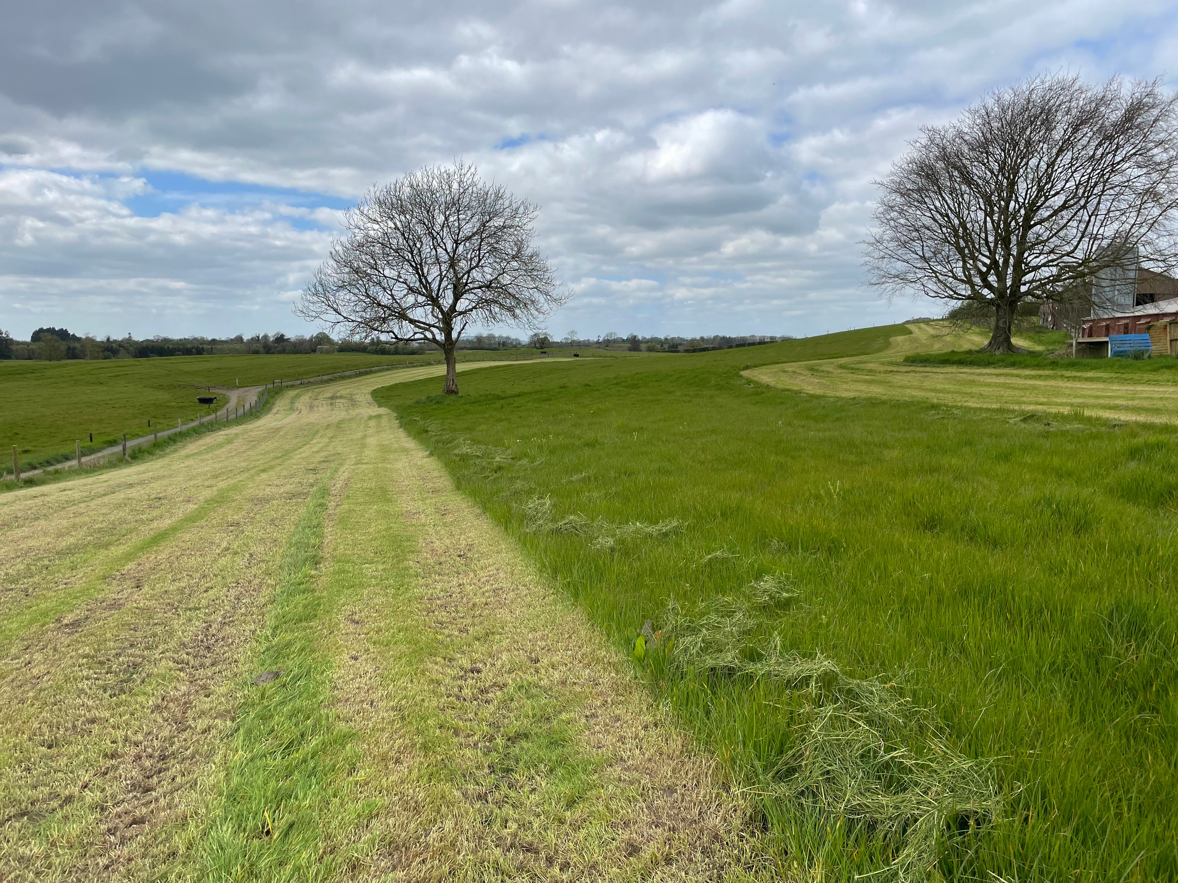 The area where the poultry roam is zero grazed