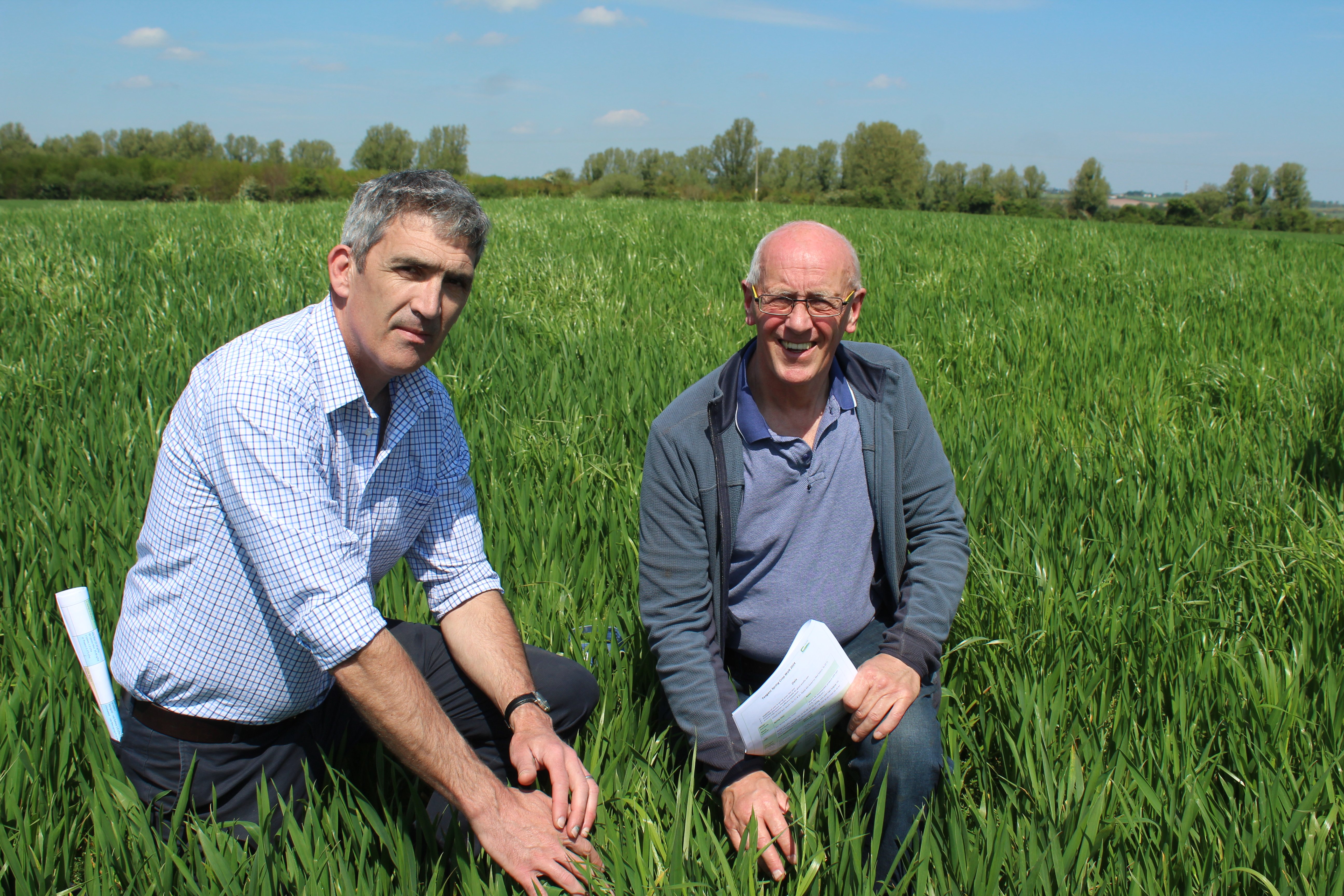 Chatting at the recent crops walk hosted by Bertie and Martin Ennis (l-r): Frank McGauran, Syngenta and Willie Lawlor, Navan, Co. Meath