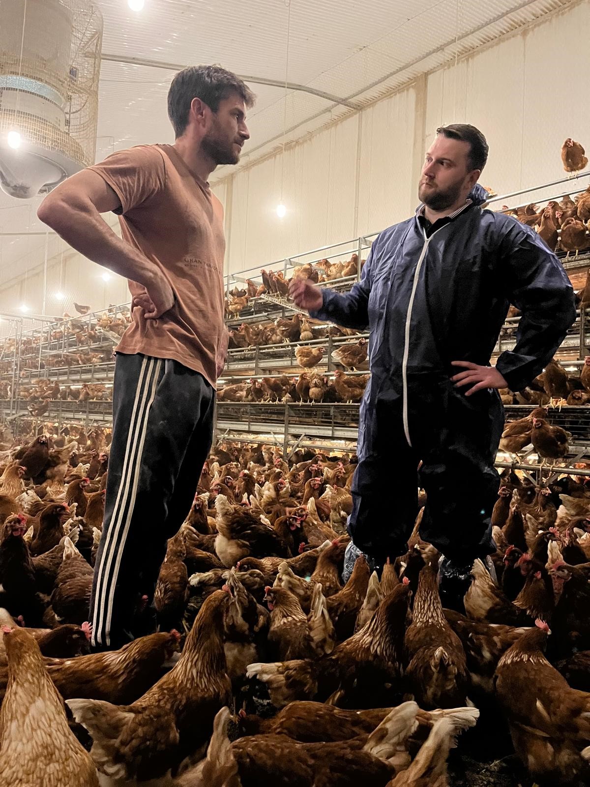 John Roche and John Shiels MSD Animal Health