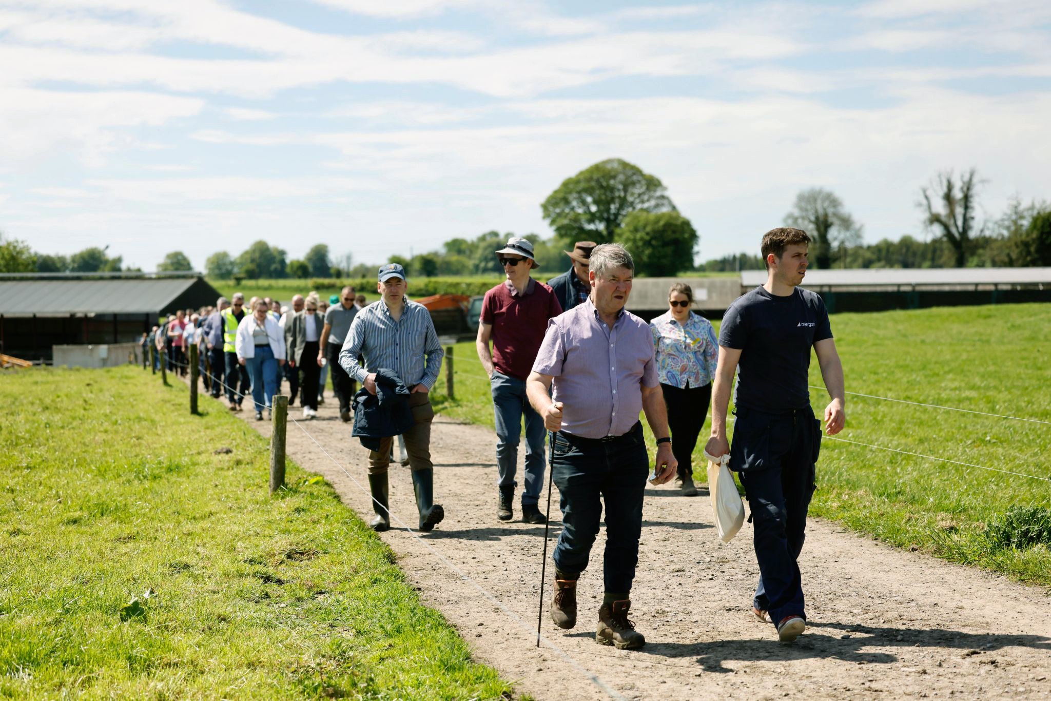 Image source: Lakeland Dairies