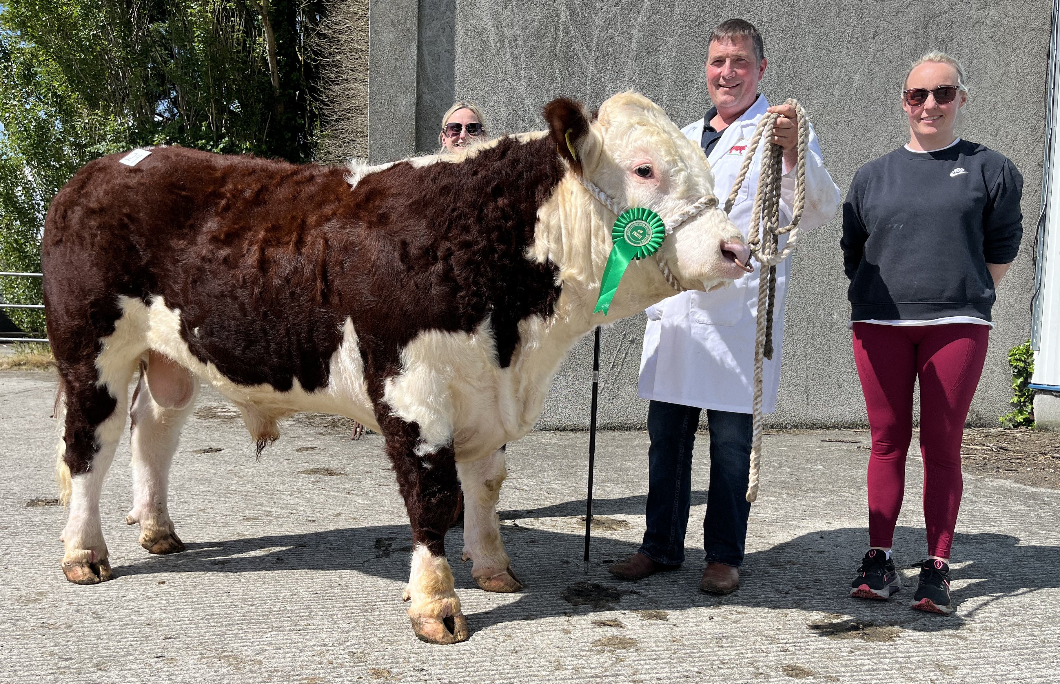 Lot 29 Glaslough Apache sold for €3,700 with breeders Theola and Nigel Heatrick and purchaser Olivia Harding