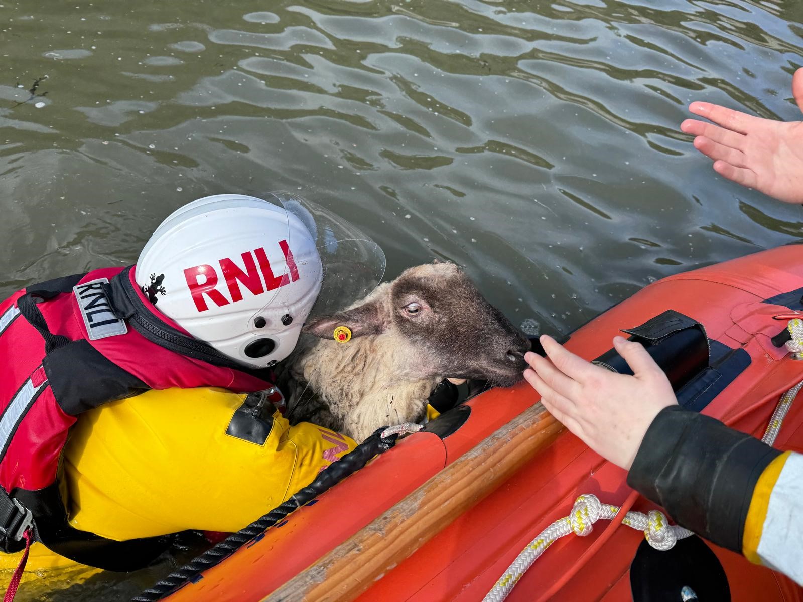 Source: RNLI