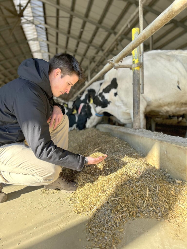 Kovacs Balint is the dairy farm manager at Extra Tej Ltd in Hungary