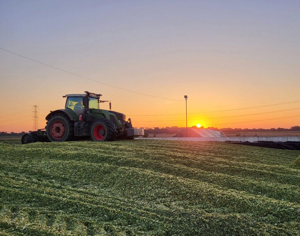 Most of the forage needed by the herd is grown on the farm