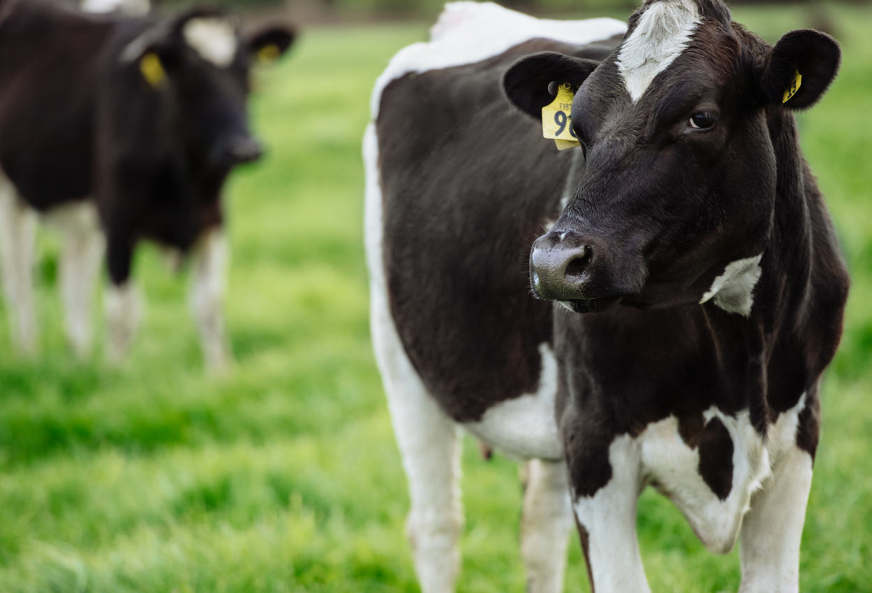 Source: Fonterra