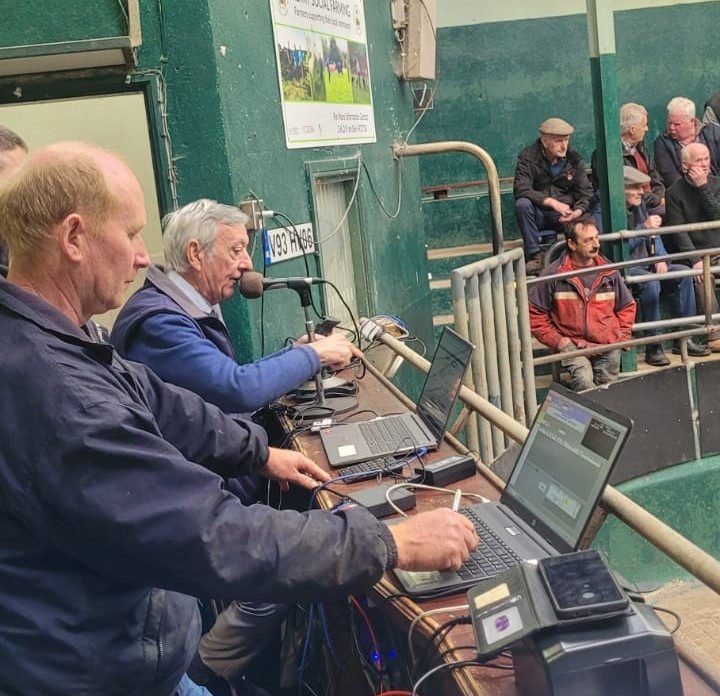 Willie Neilan at the sales ring on his final day Source: Mid Kerry Co-Op Mart