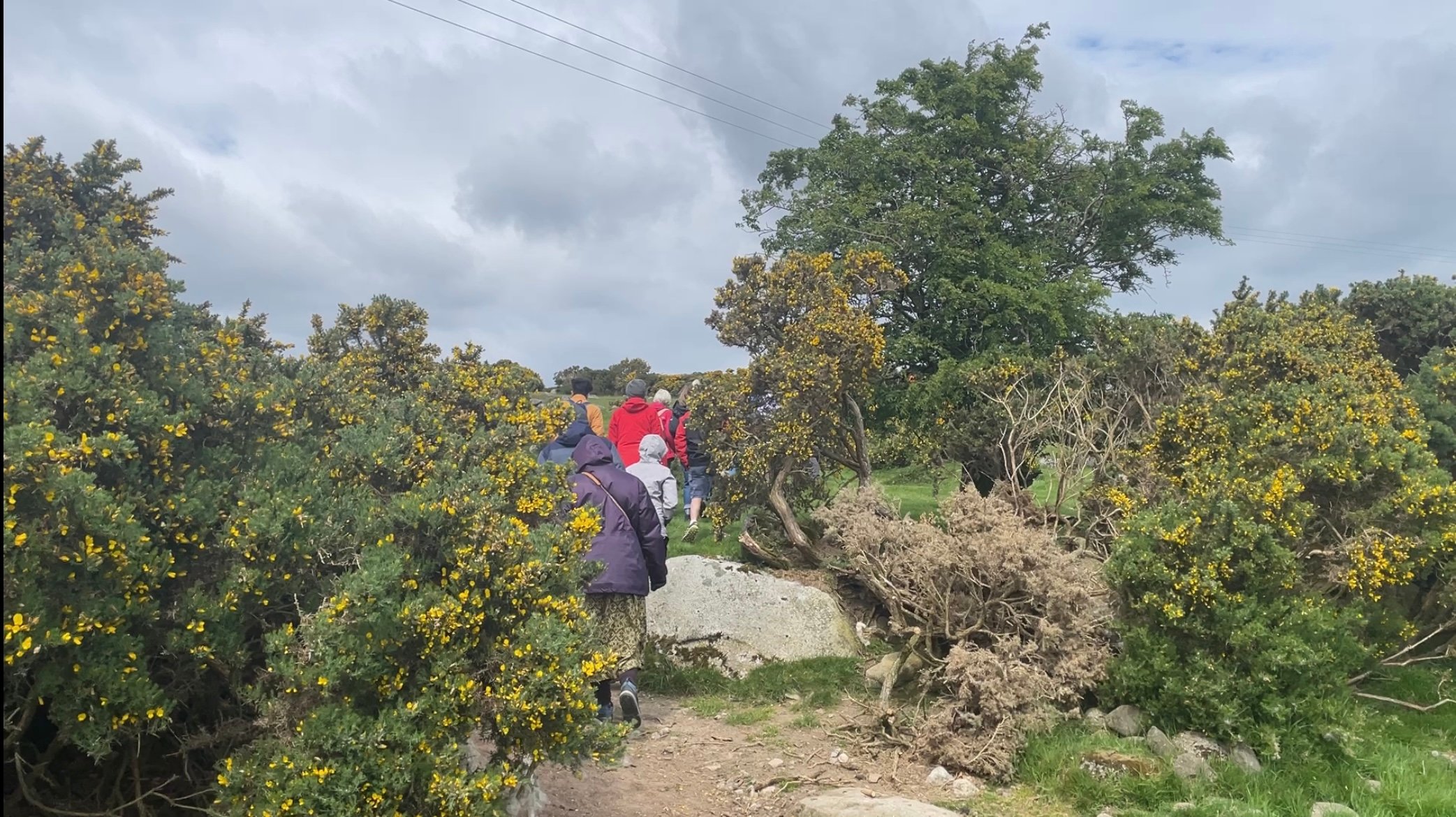 Approaching the ringfort