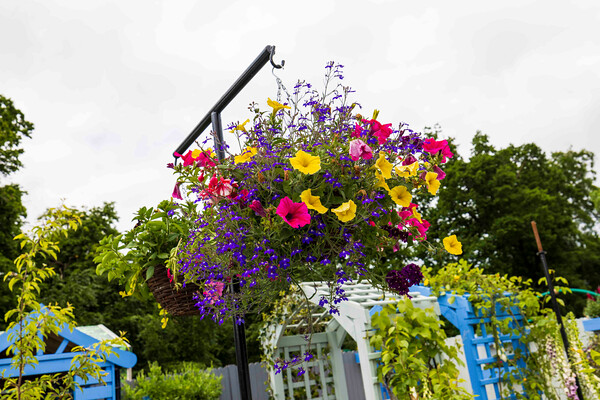 A section of the garden that Dooley designed, called 'Back to the Future' Source: Bord Bia Bloom