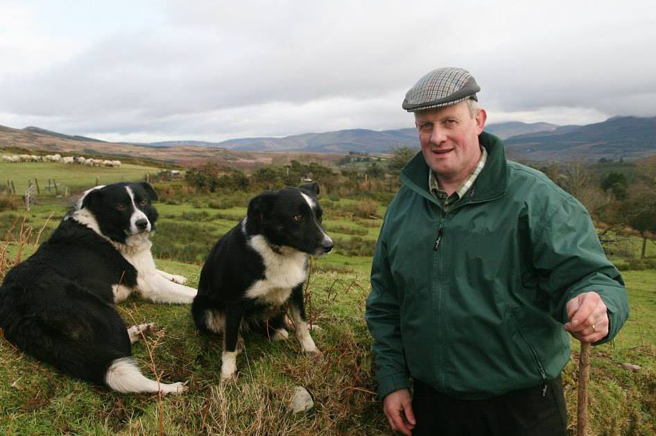 Councillor Dan McCarthy . Image Source: Mary O'Leary