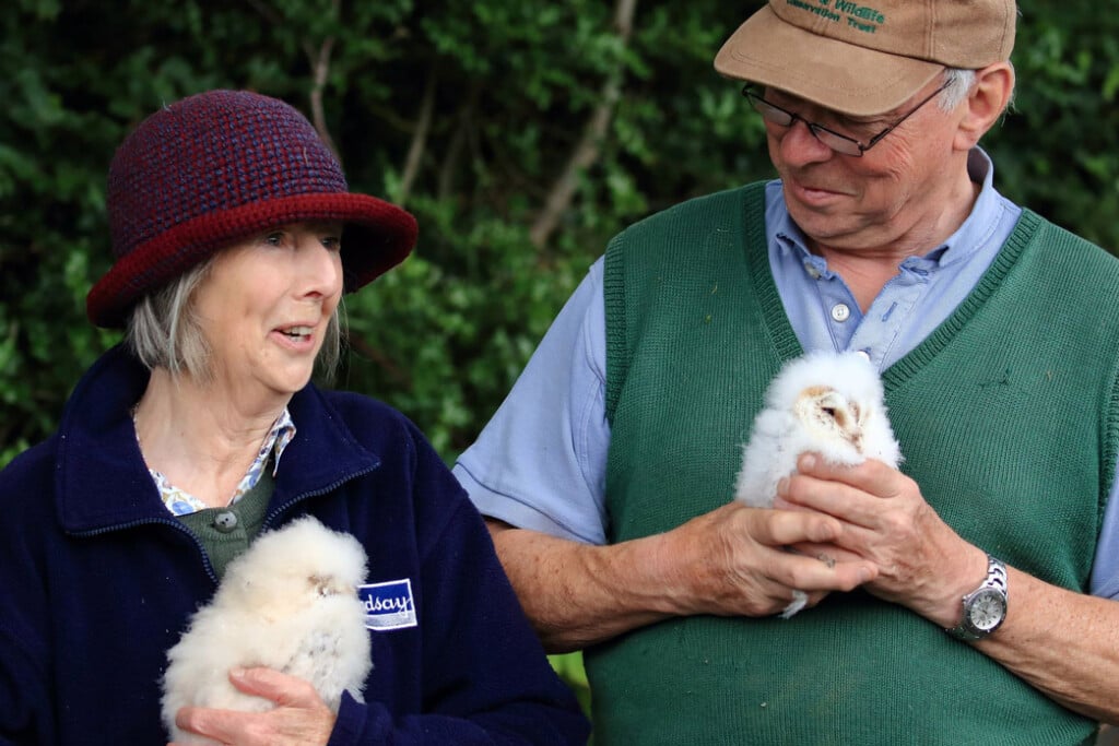 Alison and David Sandford with the first barn owl chicks born on their farm in 2019. Image: Ulster Wildlife