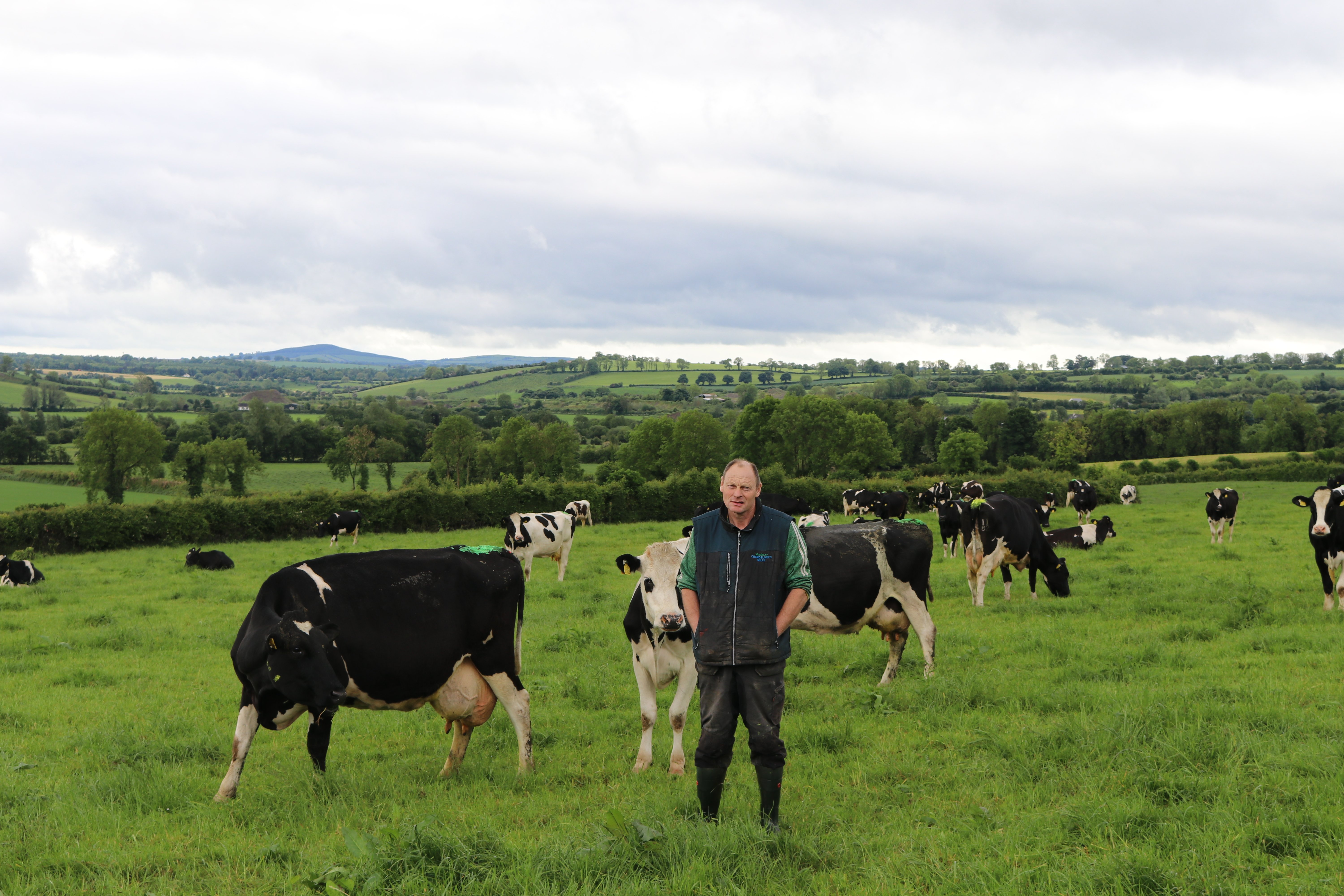 Damien Moore with his Friesian herd at the family farm in Co. Kildare